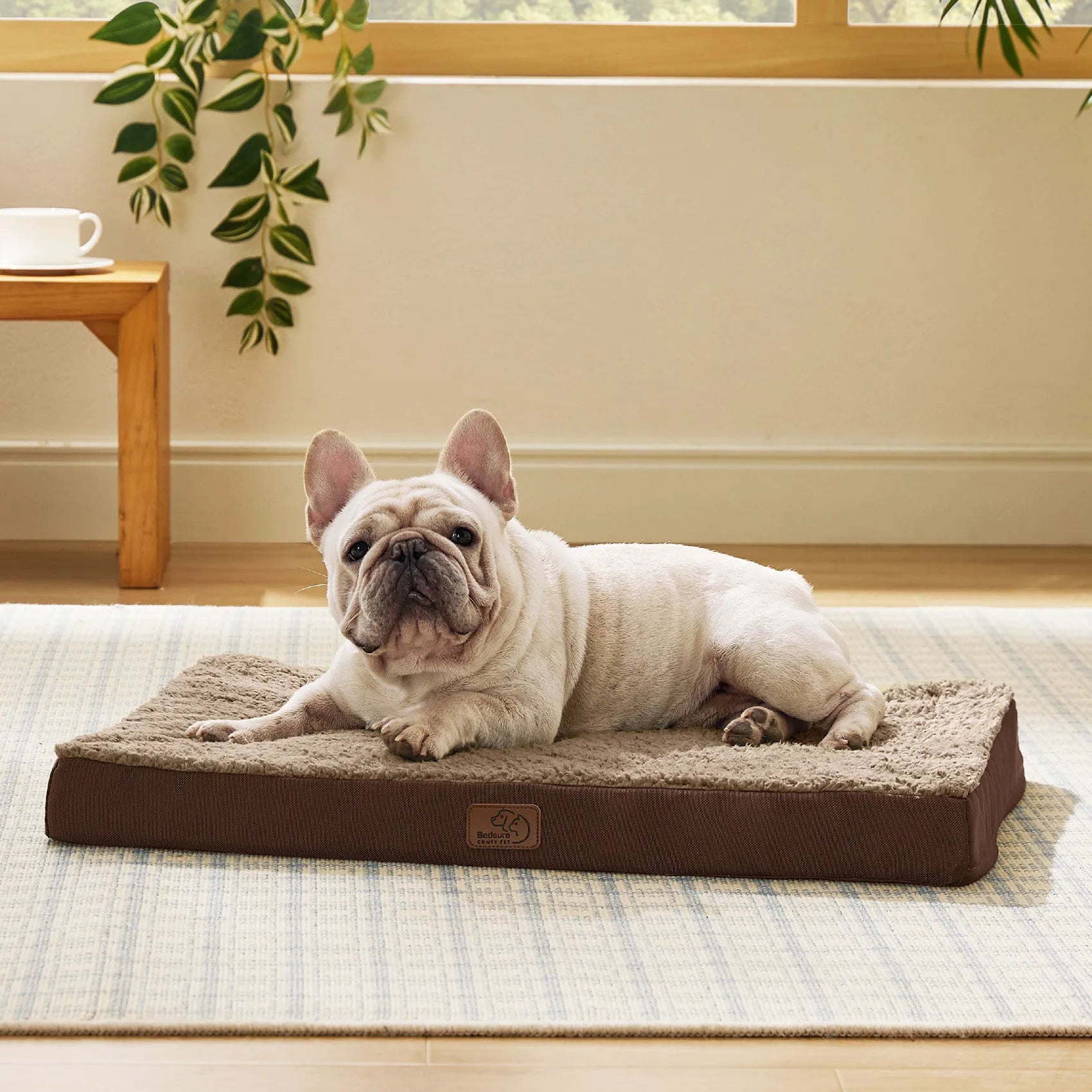 Large Washable Orthopedic Dog Bed