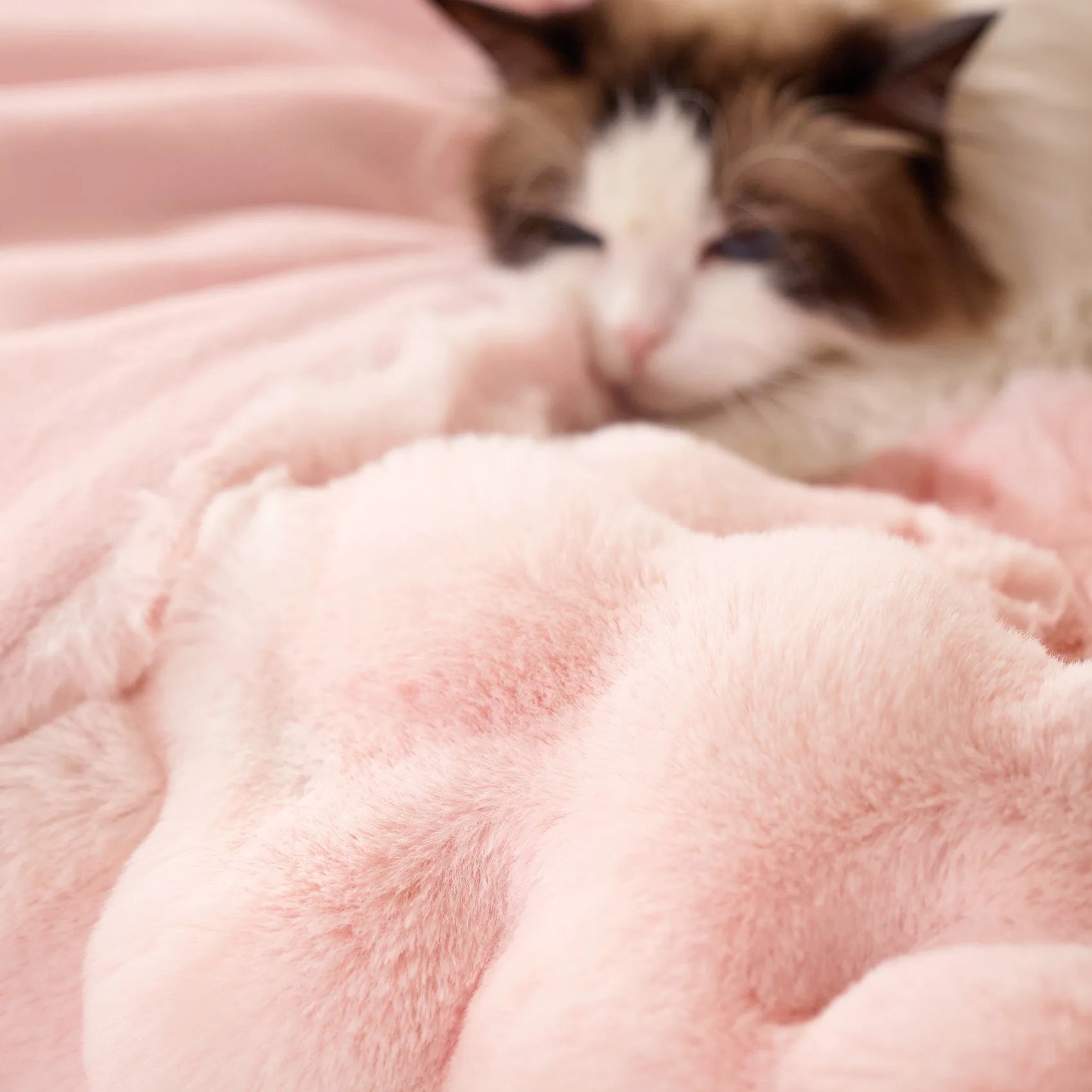 Faux Fur Bubble Blanket