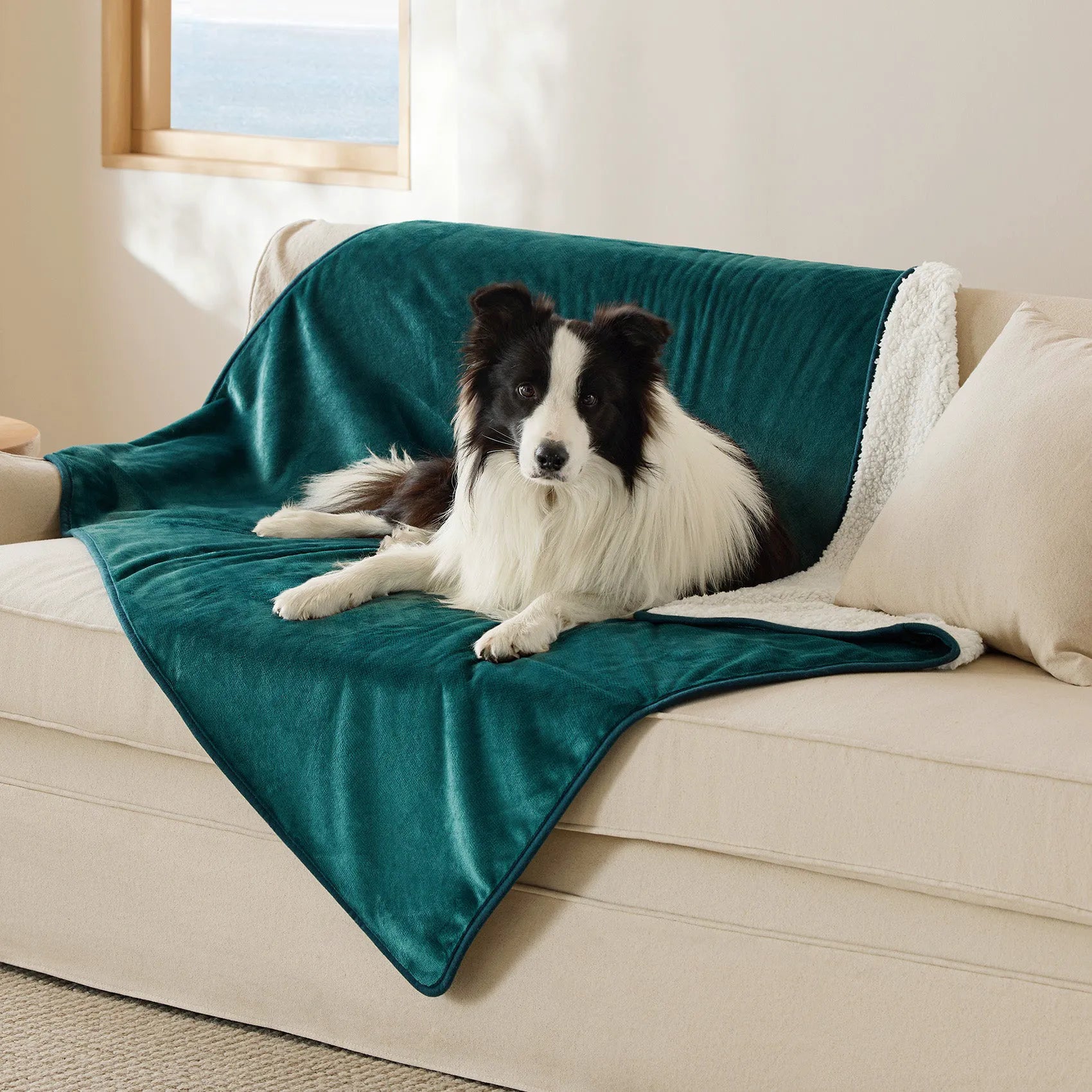 Reversible Sherpa & Microfiber Fleece Dog Blanket