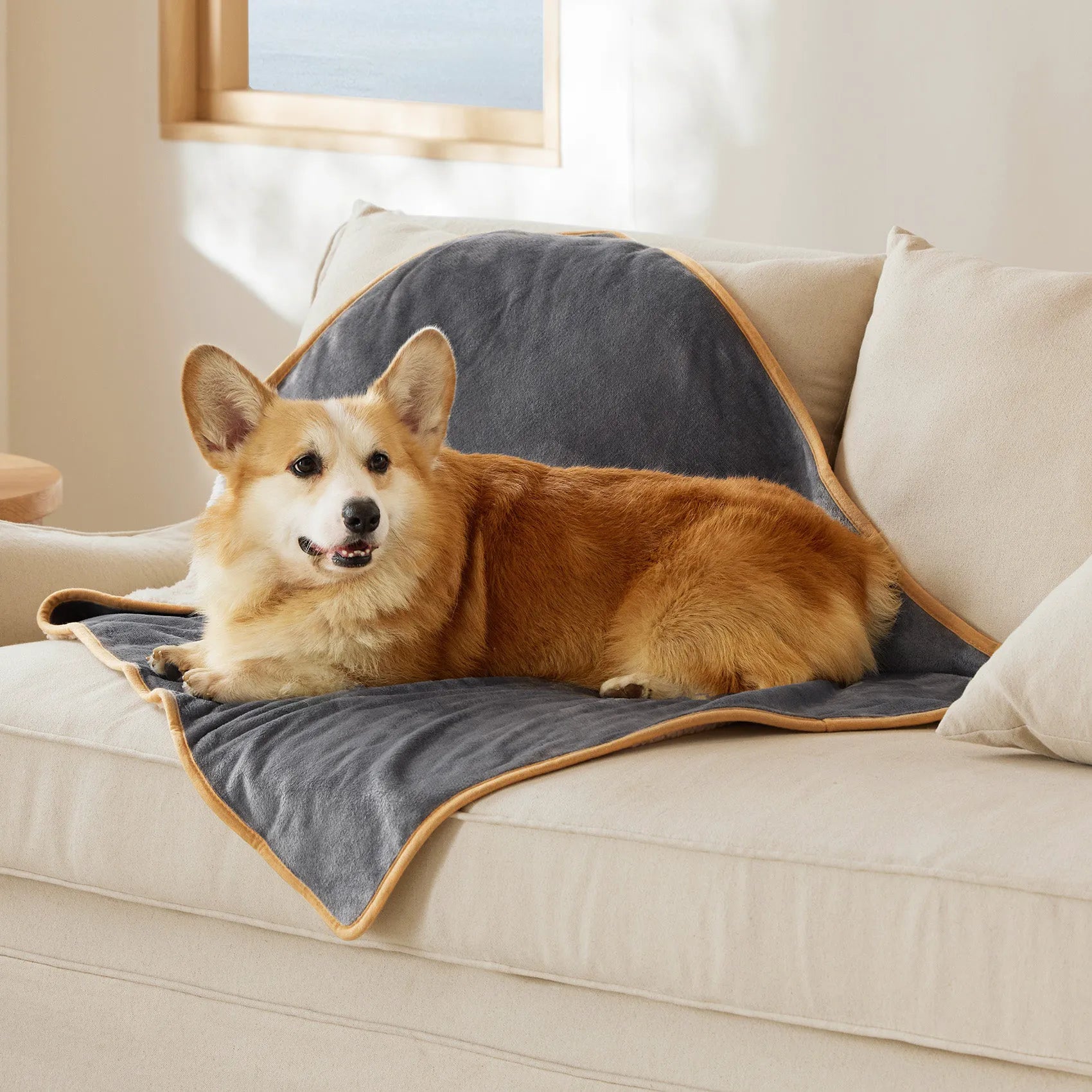 Reversible Sherpa & Microfiber Fleece Dog Blanket