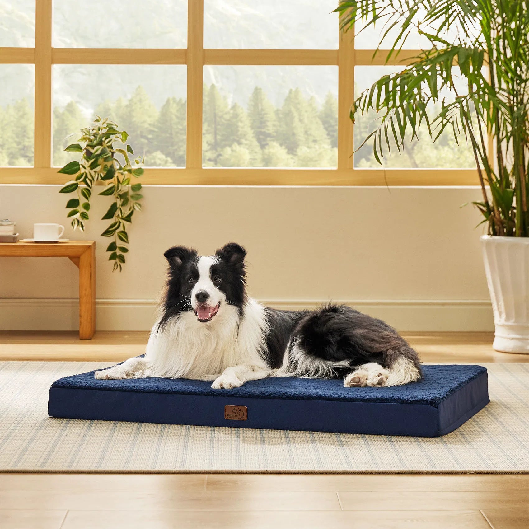 Large Washable Orthopedic Dog Bed