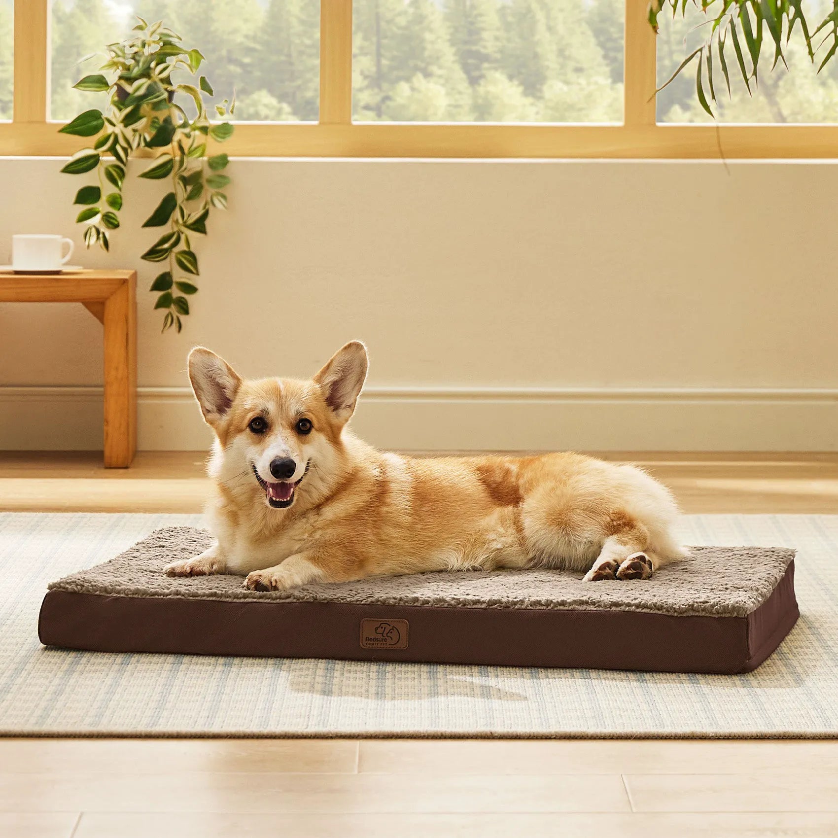 Large Washable Orthopedic Dog Bed