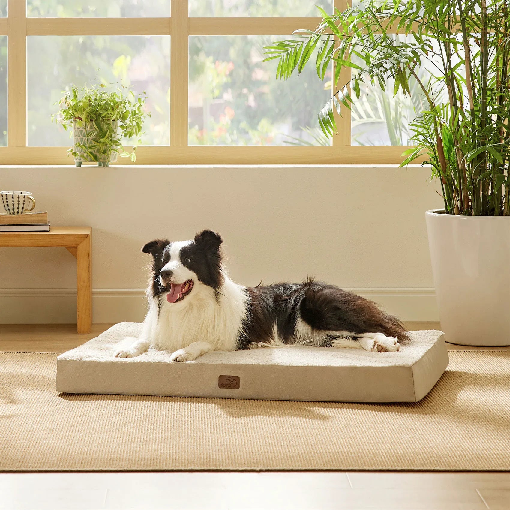 Large Washable Orthopedic Dog Bed