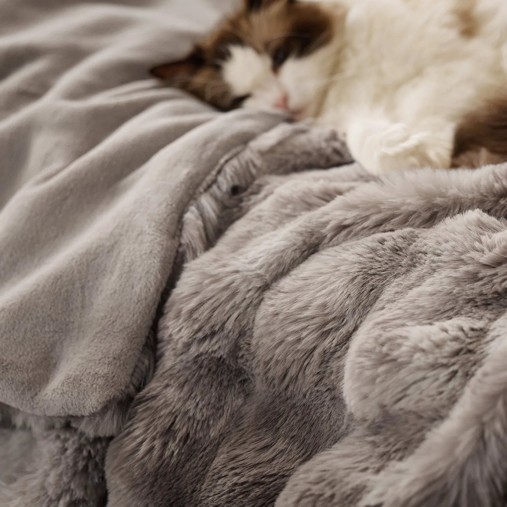 Faux Fur Bubble Blanket