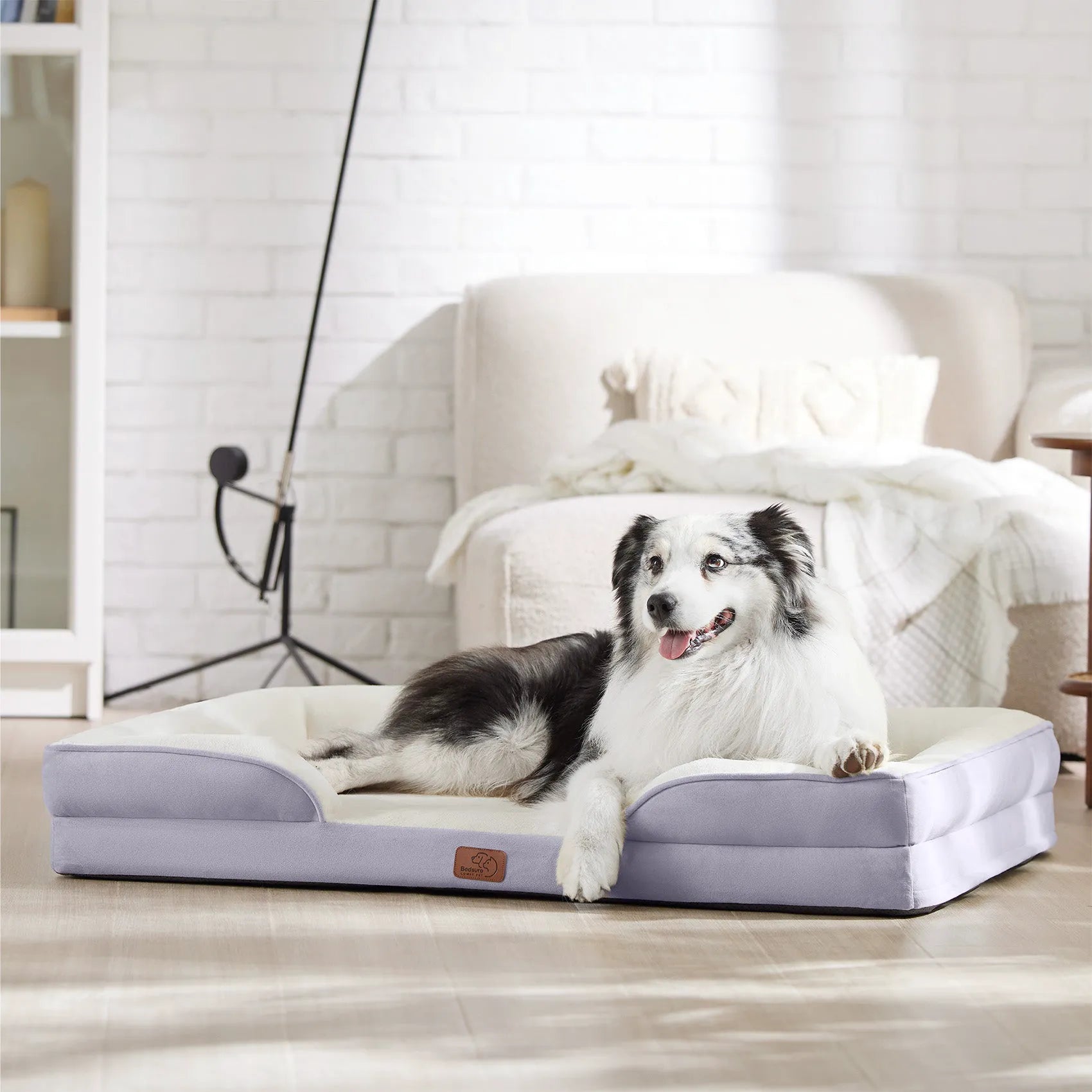 Orthopedic Dog Couch