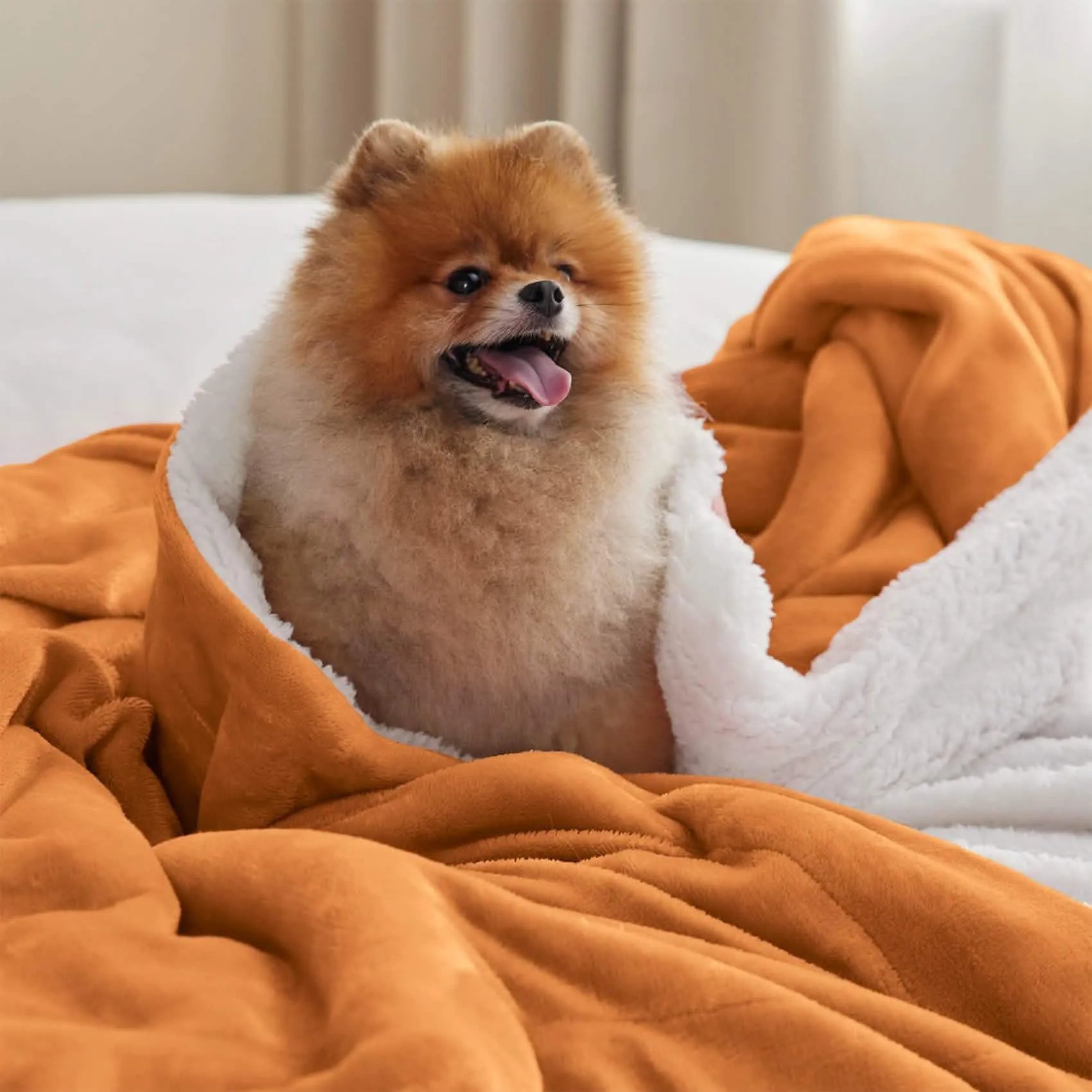 Cozy Sherpa Fleece Throw Blanket