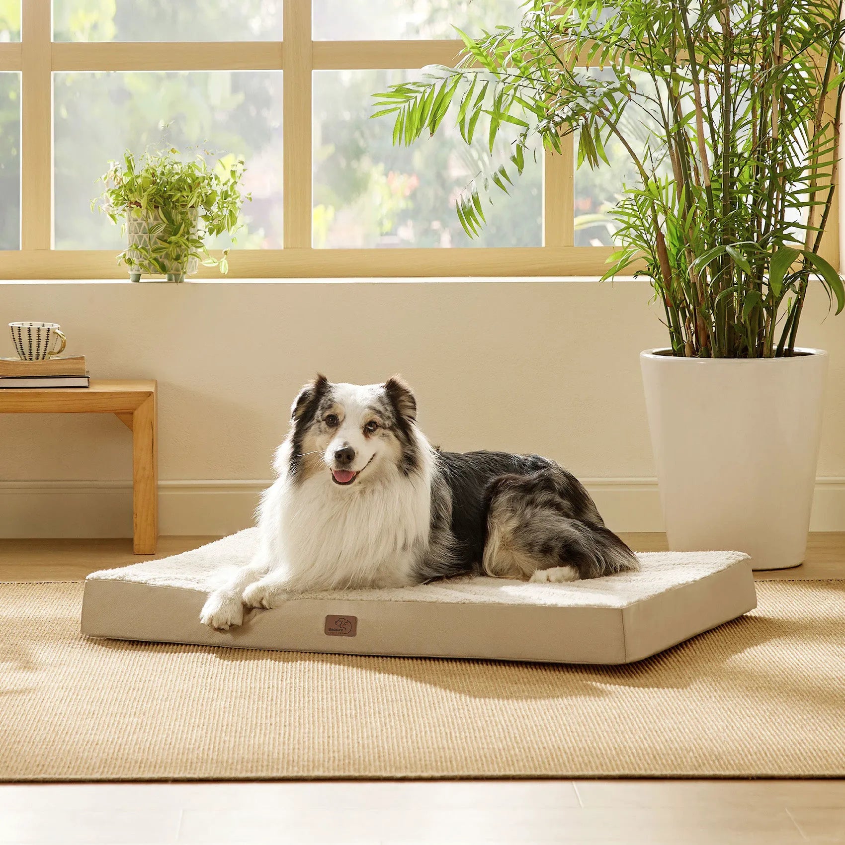 Large Washable Orthopedic Dog Bed