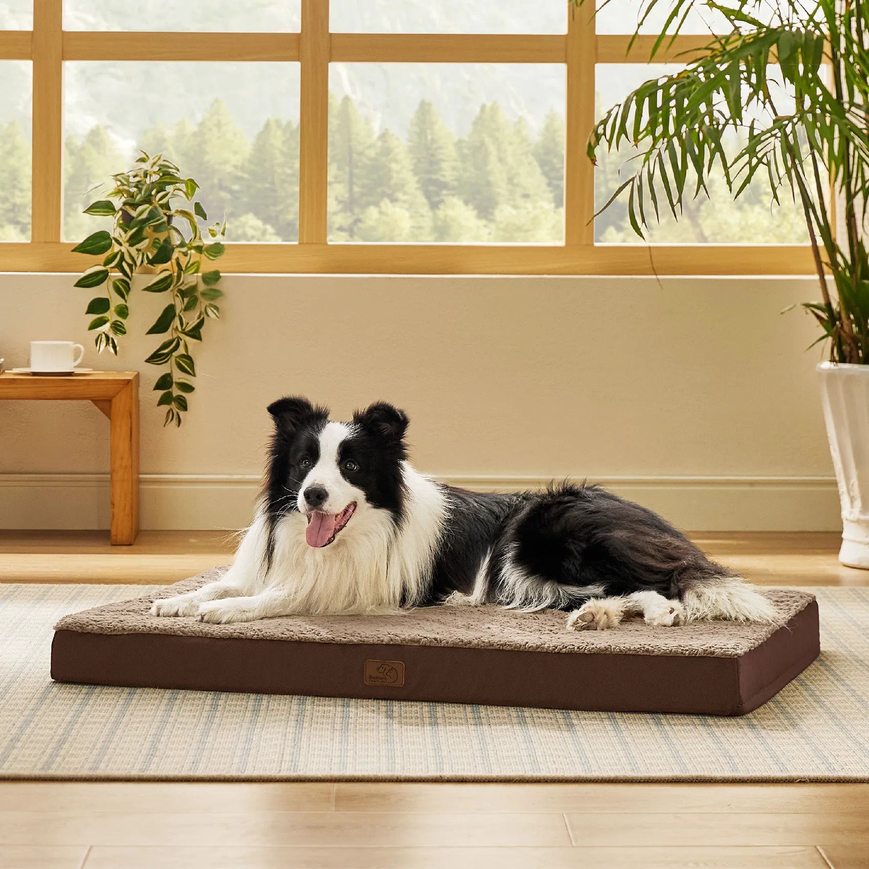 Large Washable Orthopedic Dog Bed