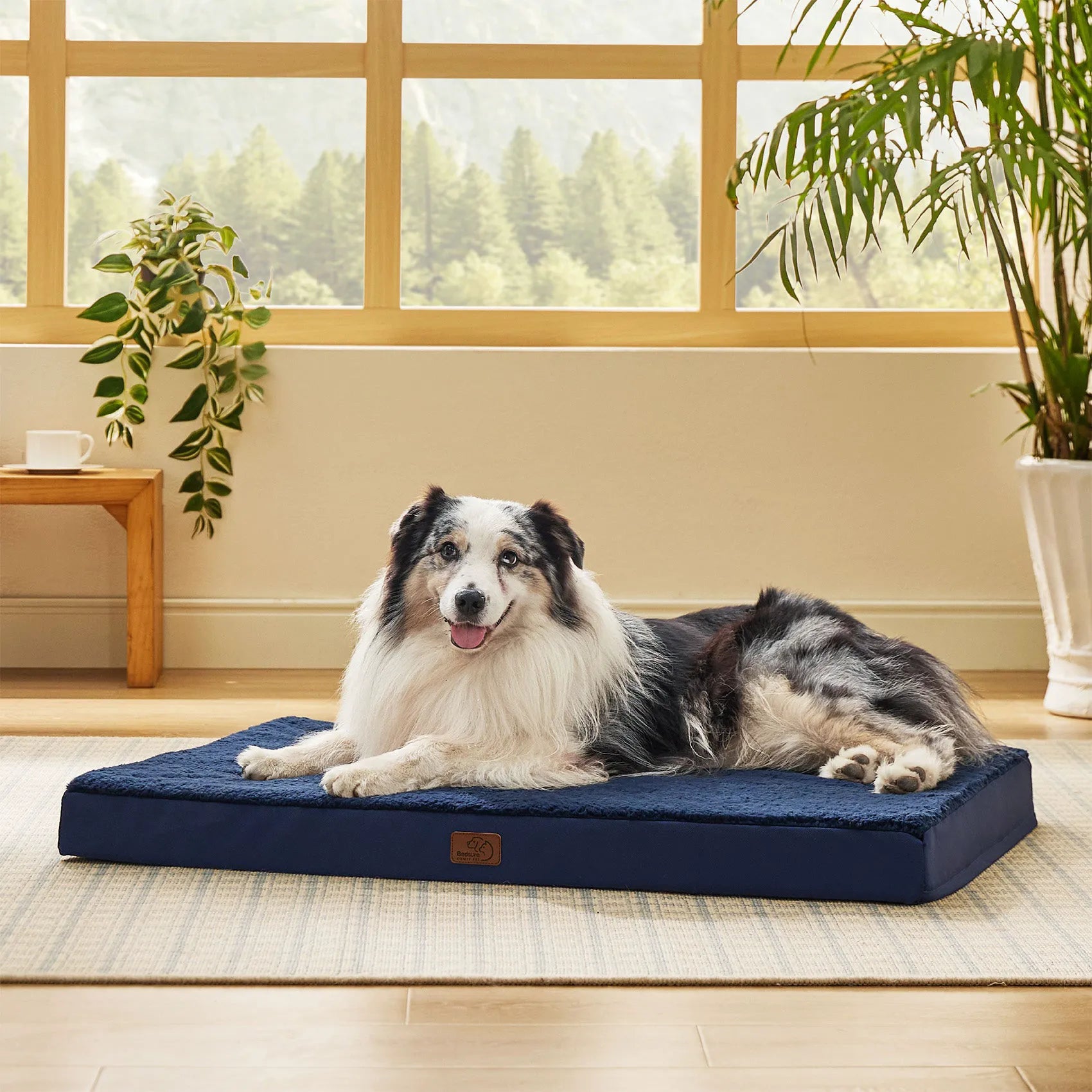 Large Washable Orthopedic Dog Bed