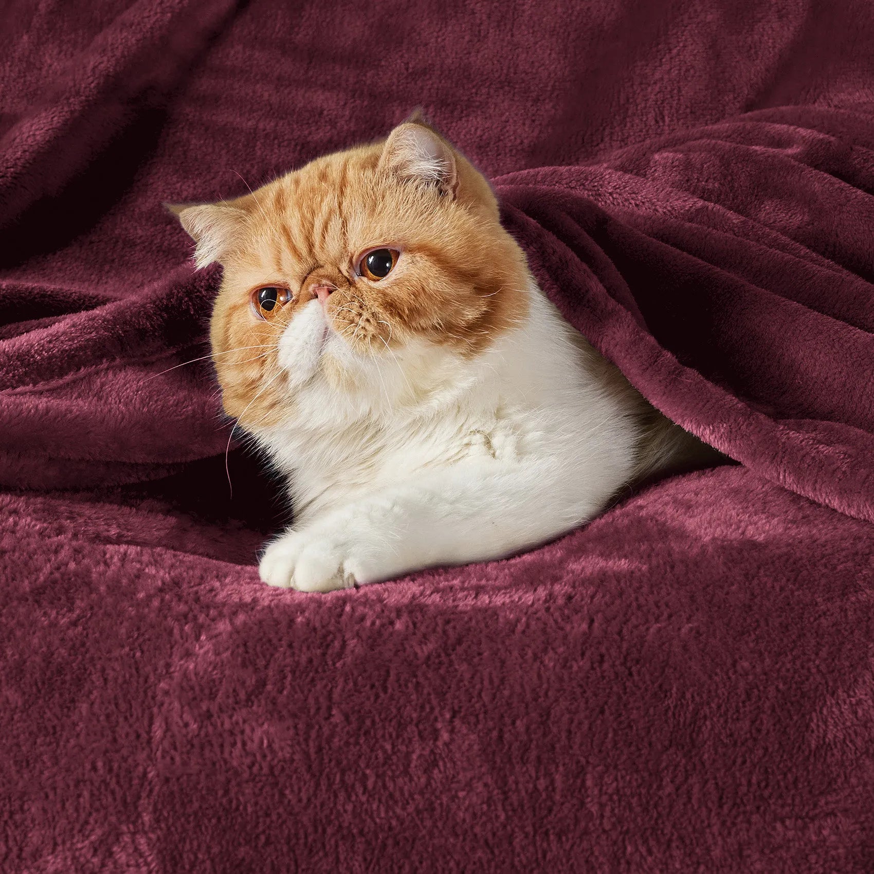 280gsm Flannel Fleece Blanket