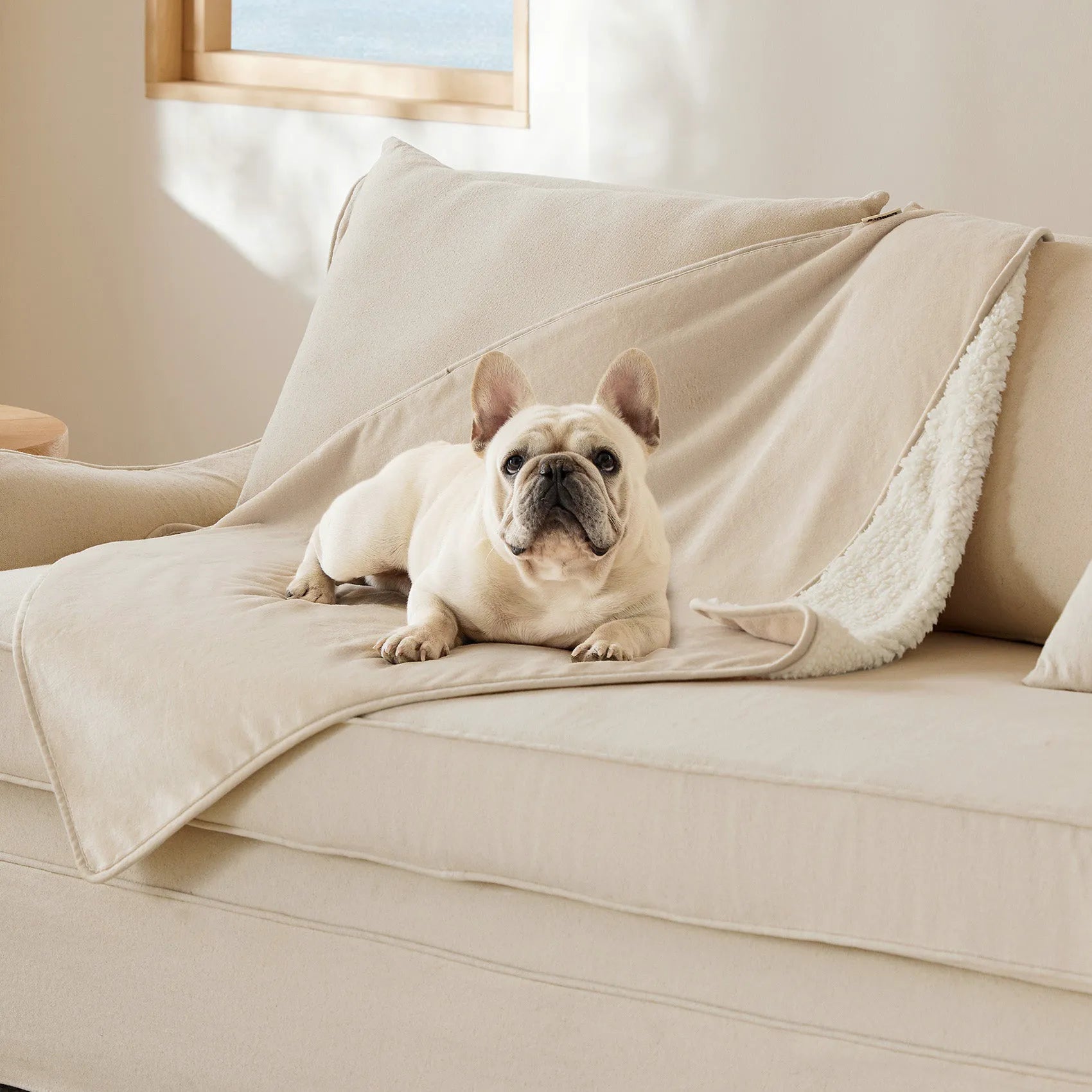 Reversible Sherpa & Microfiber Fleece Dog Blanket
