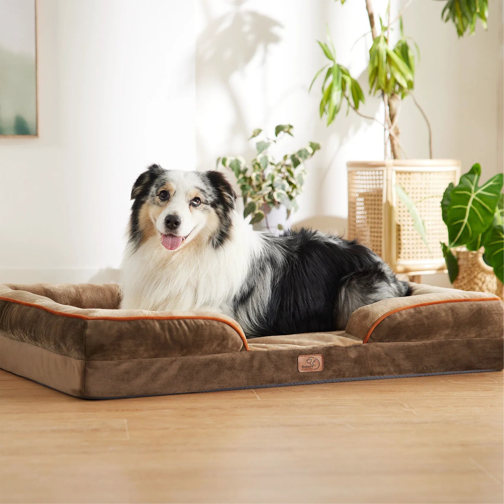 Orthopedic Dog Couch