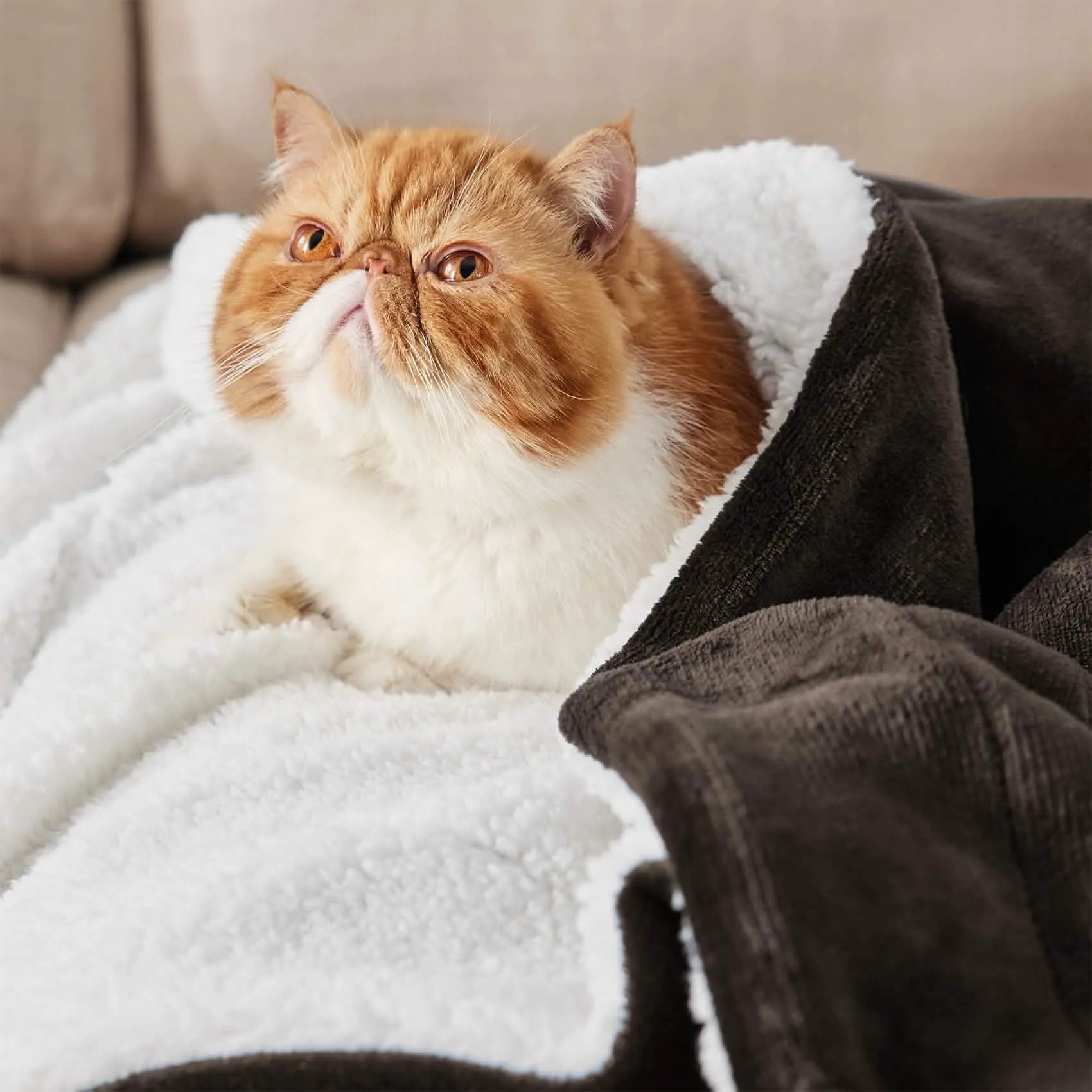 Cozy Sherpa Fleece Throw Blanket