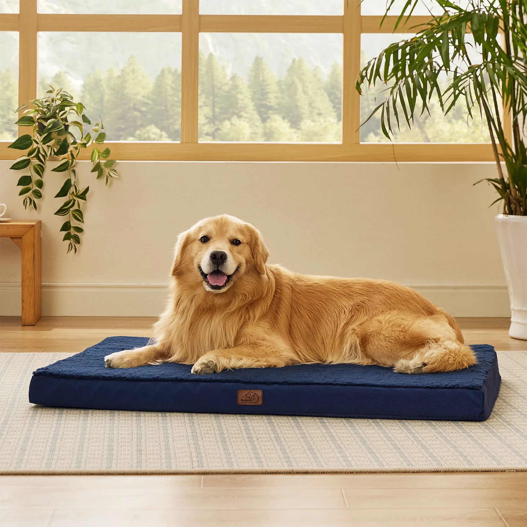 Large Washable Orthopedic Dog Bed
