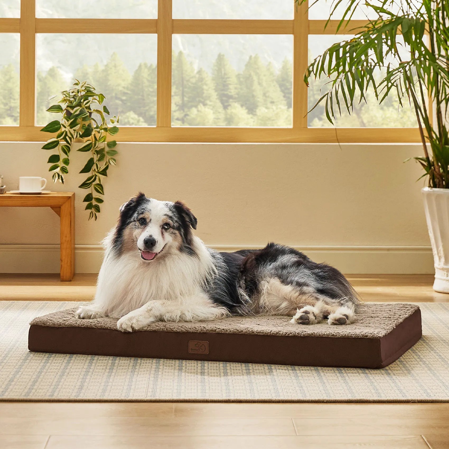 Large Washable Orthopedic Dog Bed