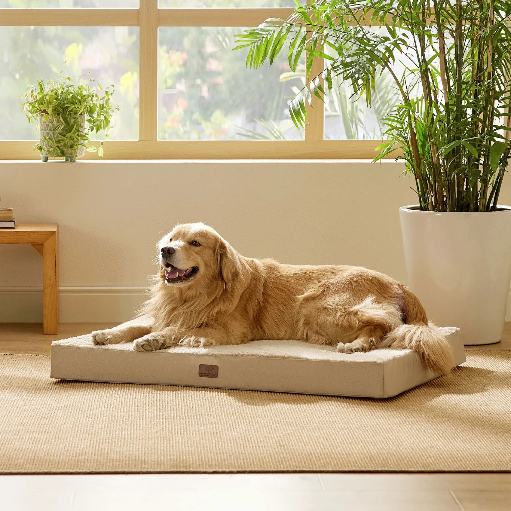 Large Washable Orthopedic Dog Bed