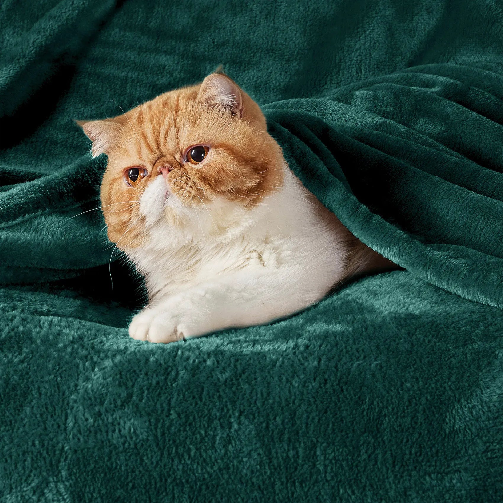280gsm Flannel Fleece Blanket
