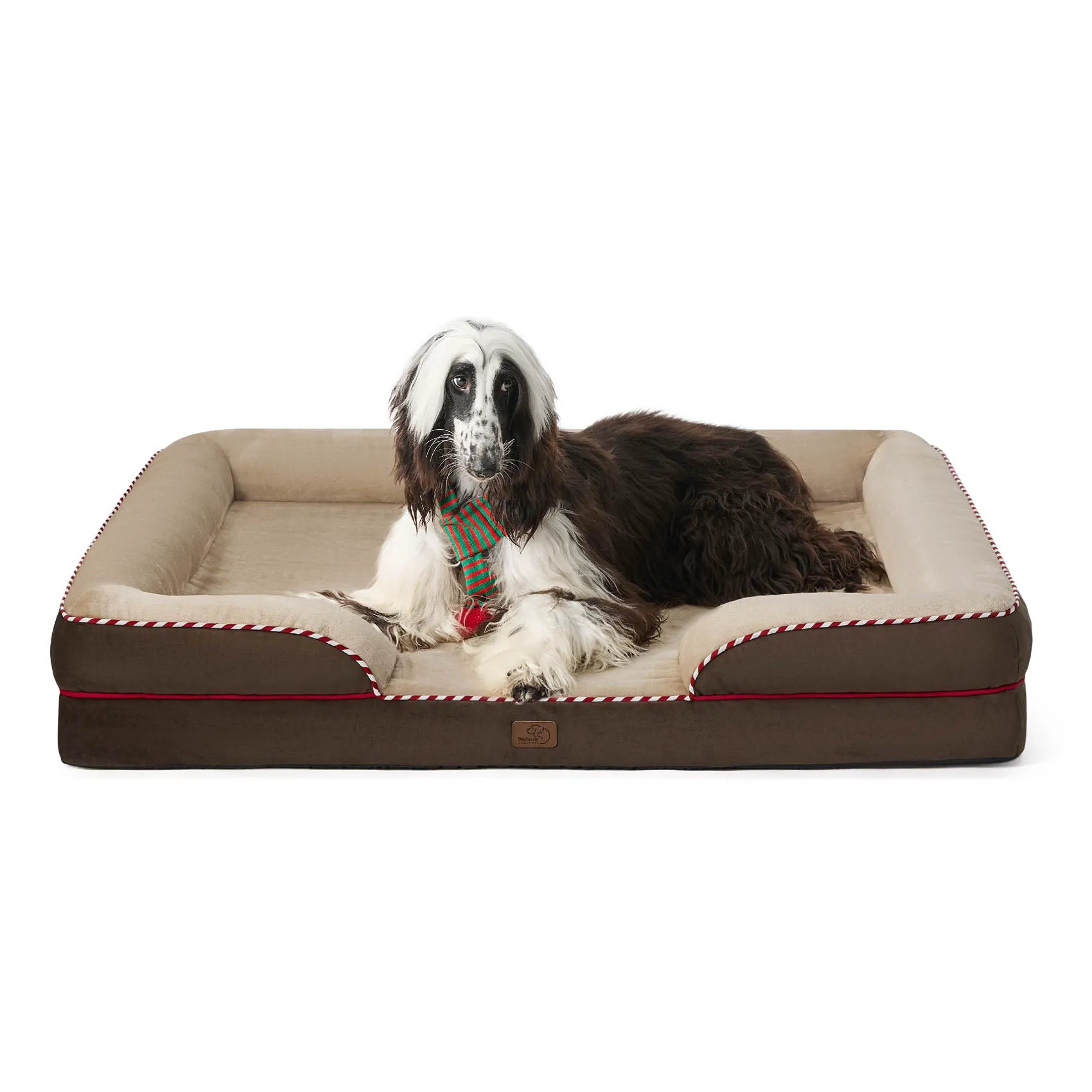 Orthopedic Dog Couch