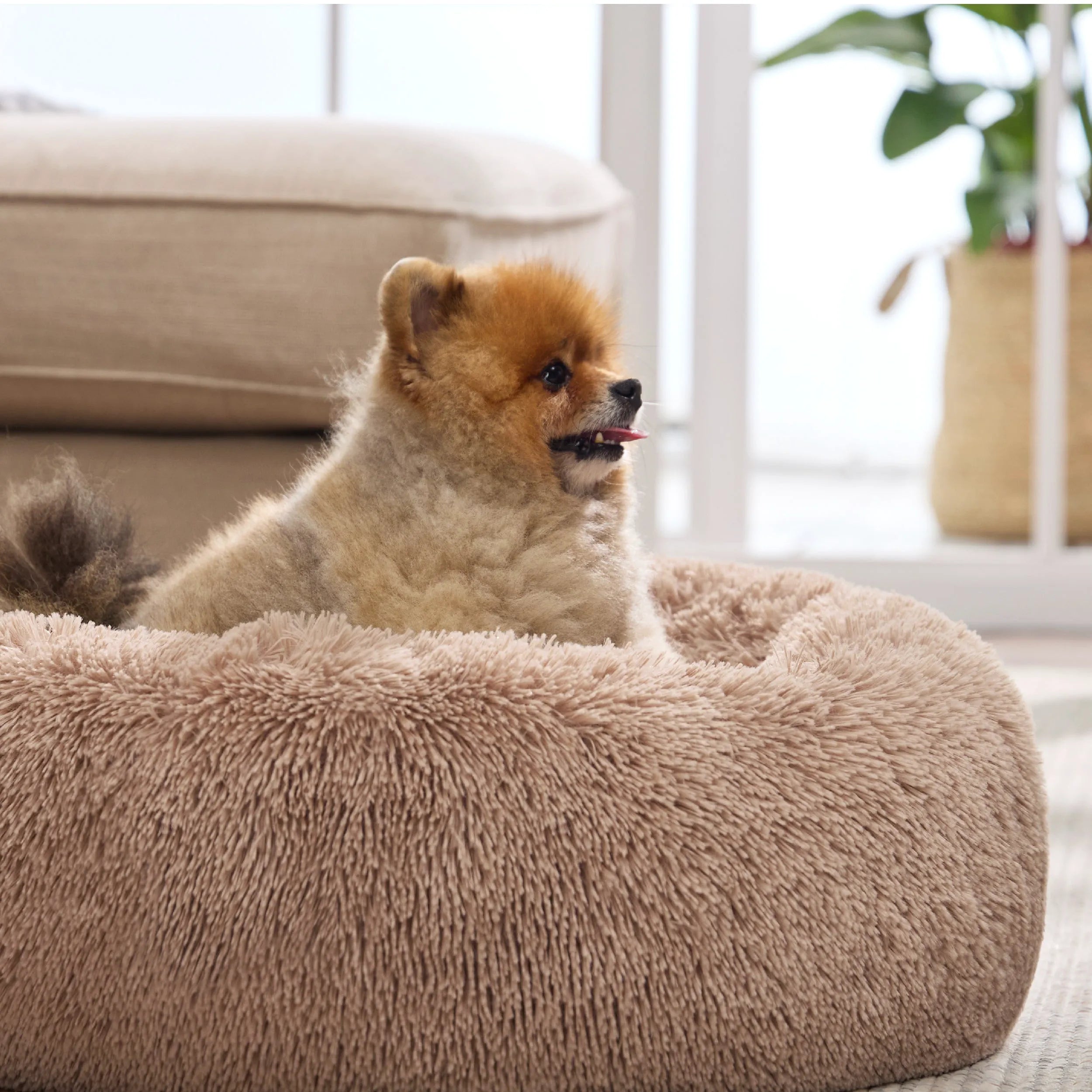 Calming Donut Bed for Pets