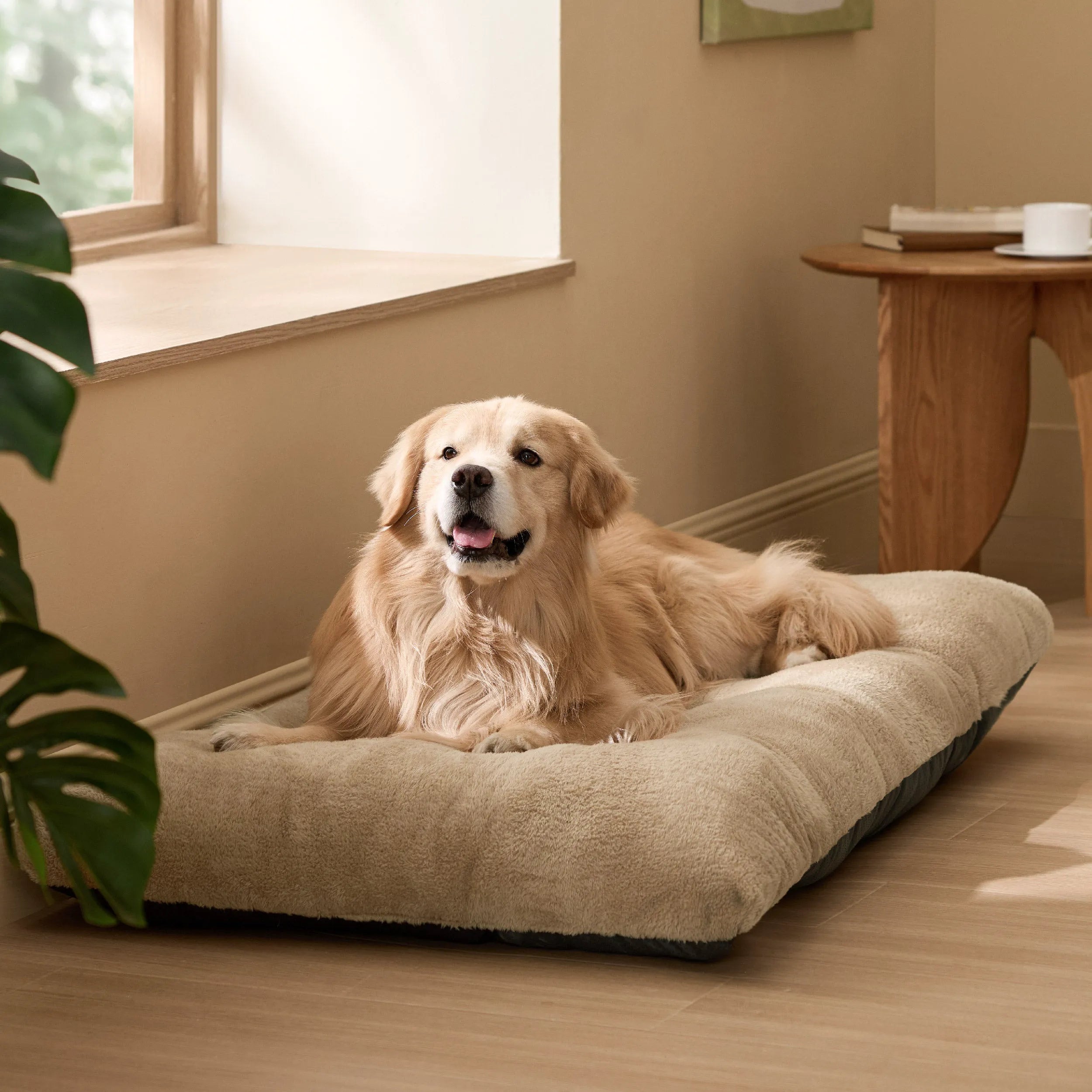 Fluffy Dog Bed Mat