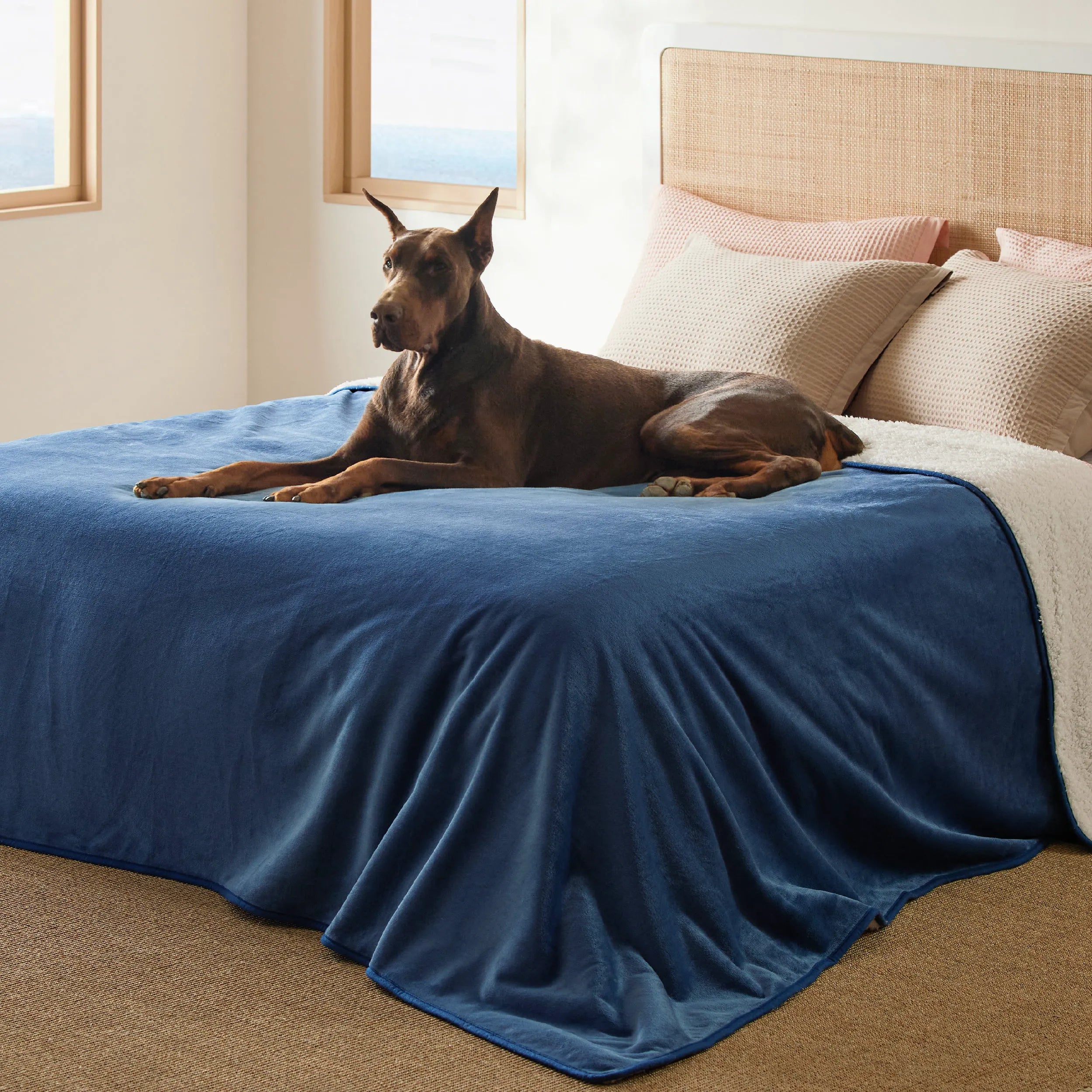 Reversible Sherpa & Microfiber Fleece Dog Blanket
