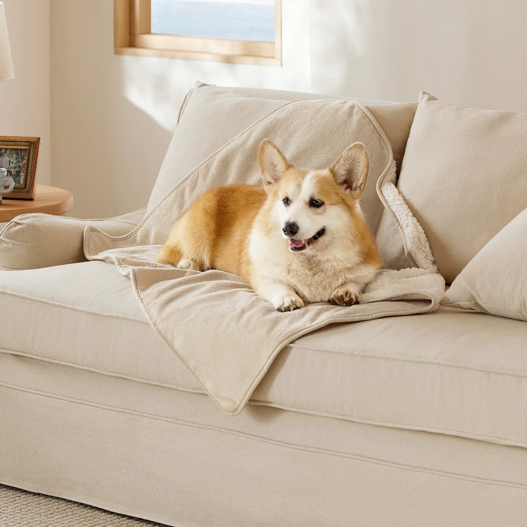Reversible Sherpa & Microfiber Fleece Dog Blanket