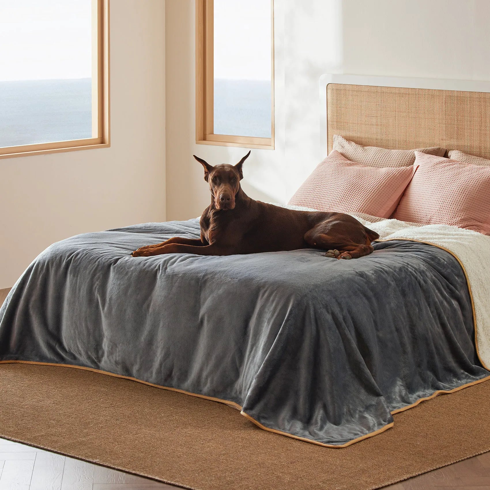 Reversible Sherpa & Microfiber Fleece Dog Blanket