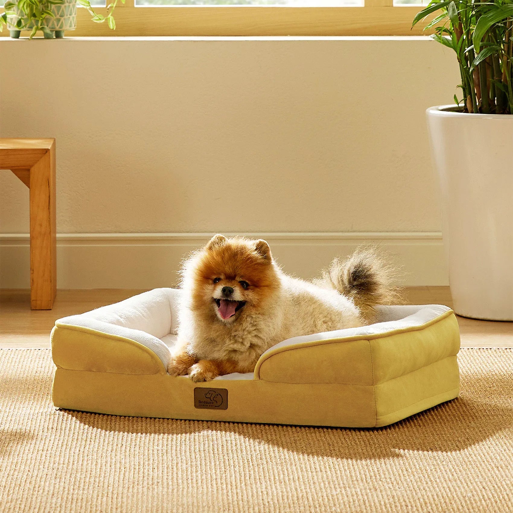 Orthopedic Dog Couch
