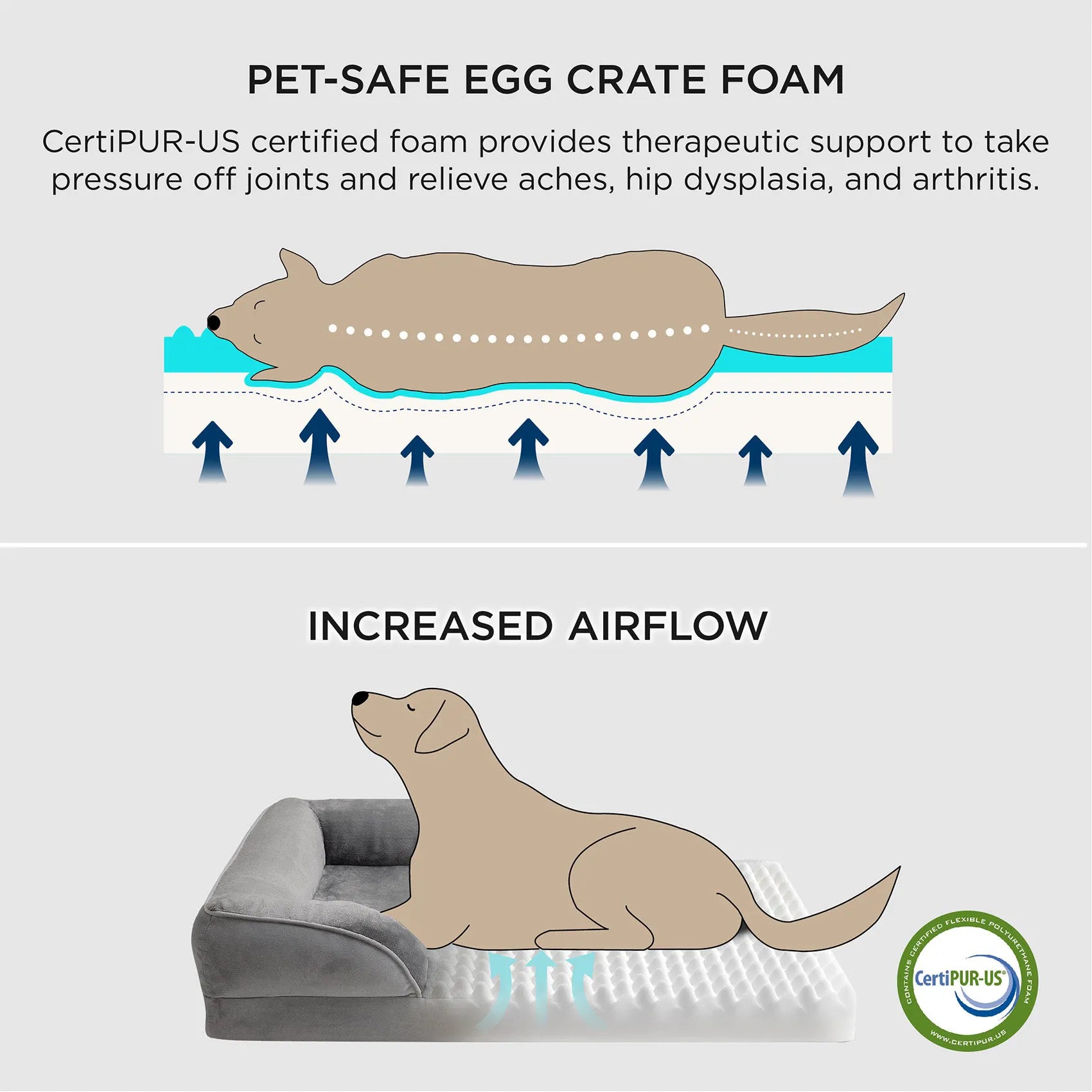 Orthopedic Dog Couch