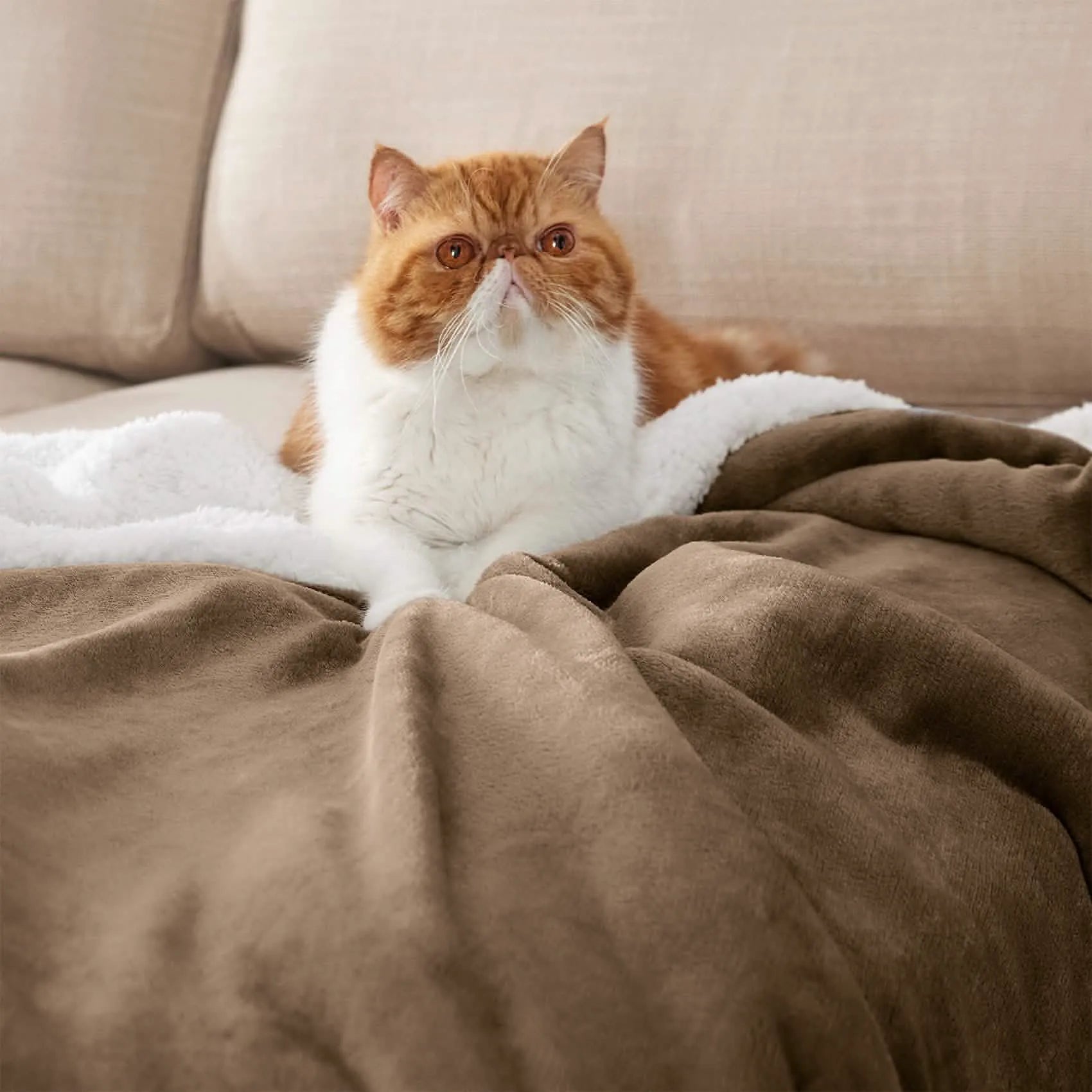 Cozy Sherpa Fleece Throw Blanket