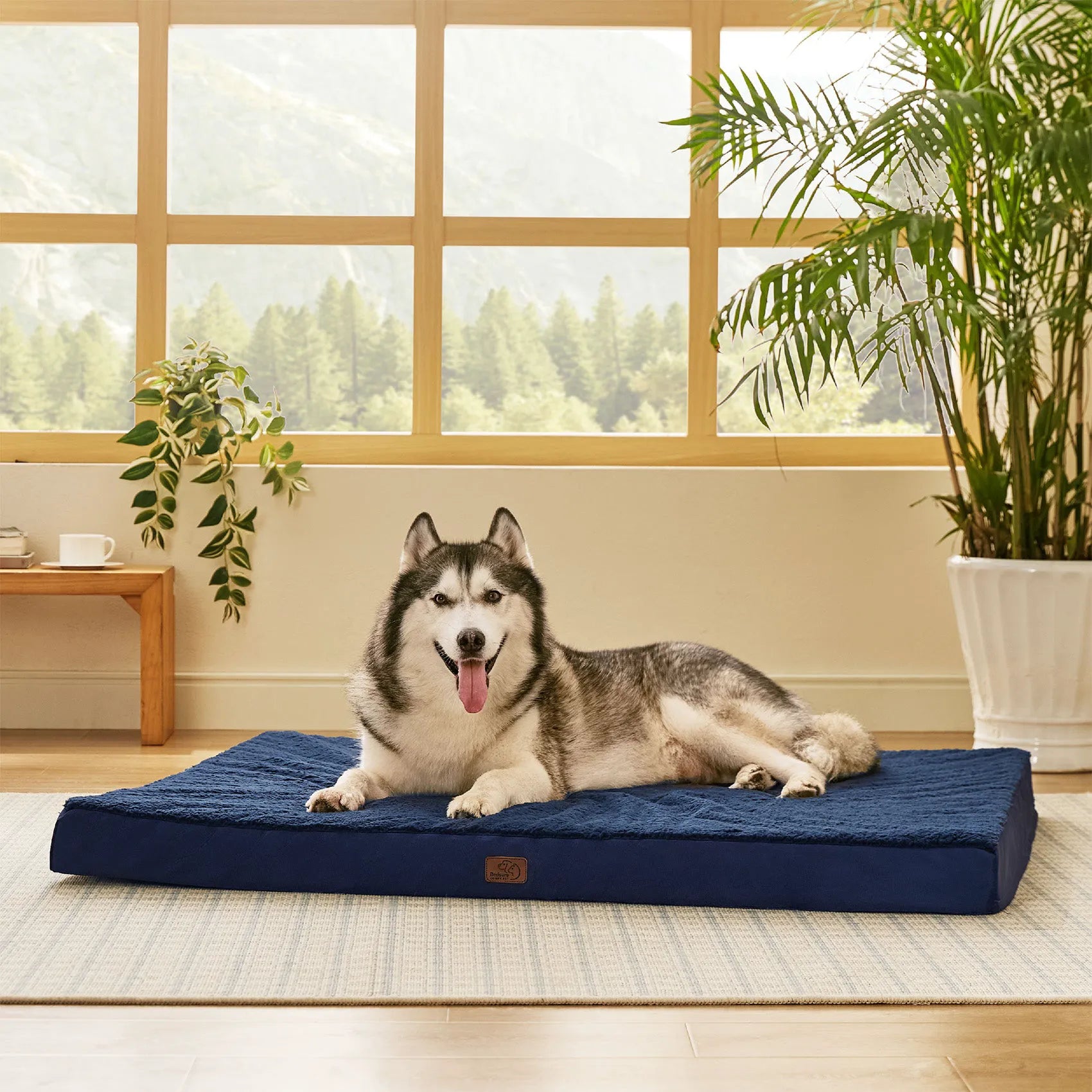 Large Washable Orthopedic Dog Bed