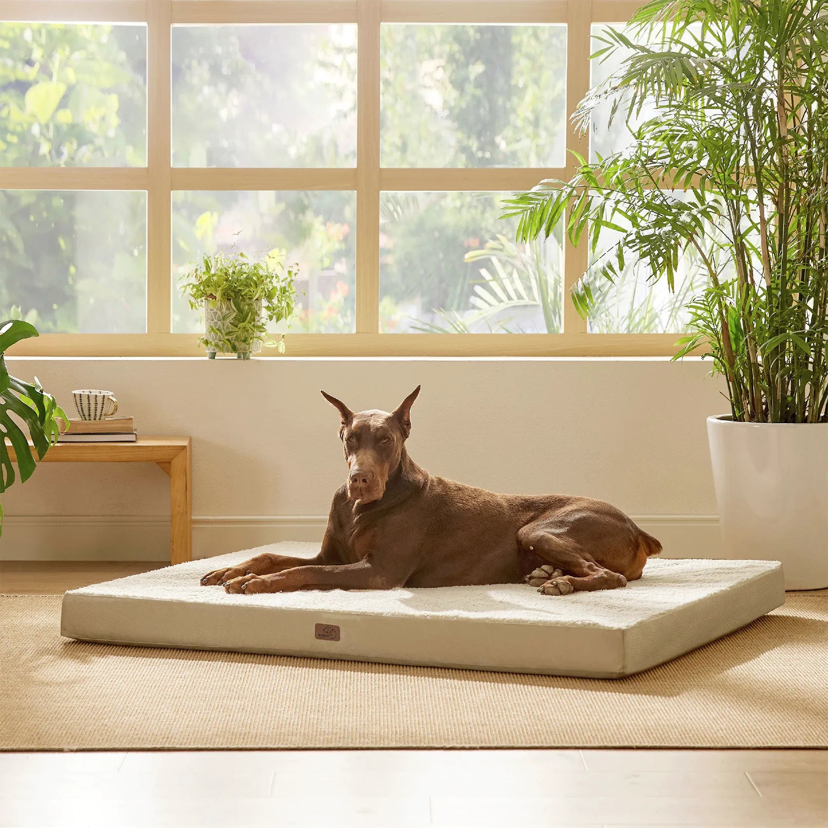 Large Washable Orthopedic Dog Bed