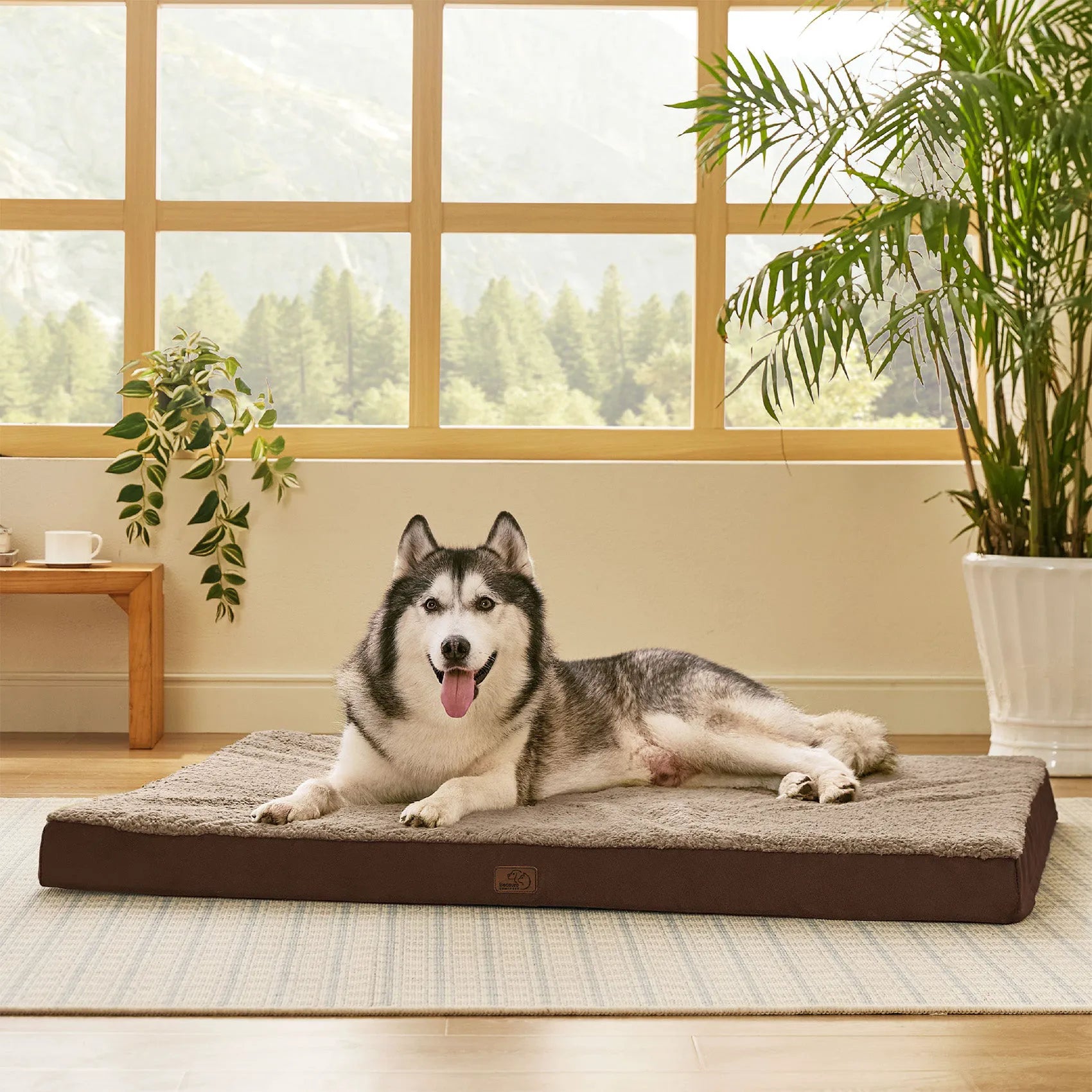 Large Washable Orthopedic Dog Bed