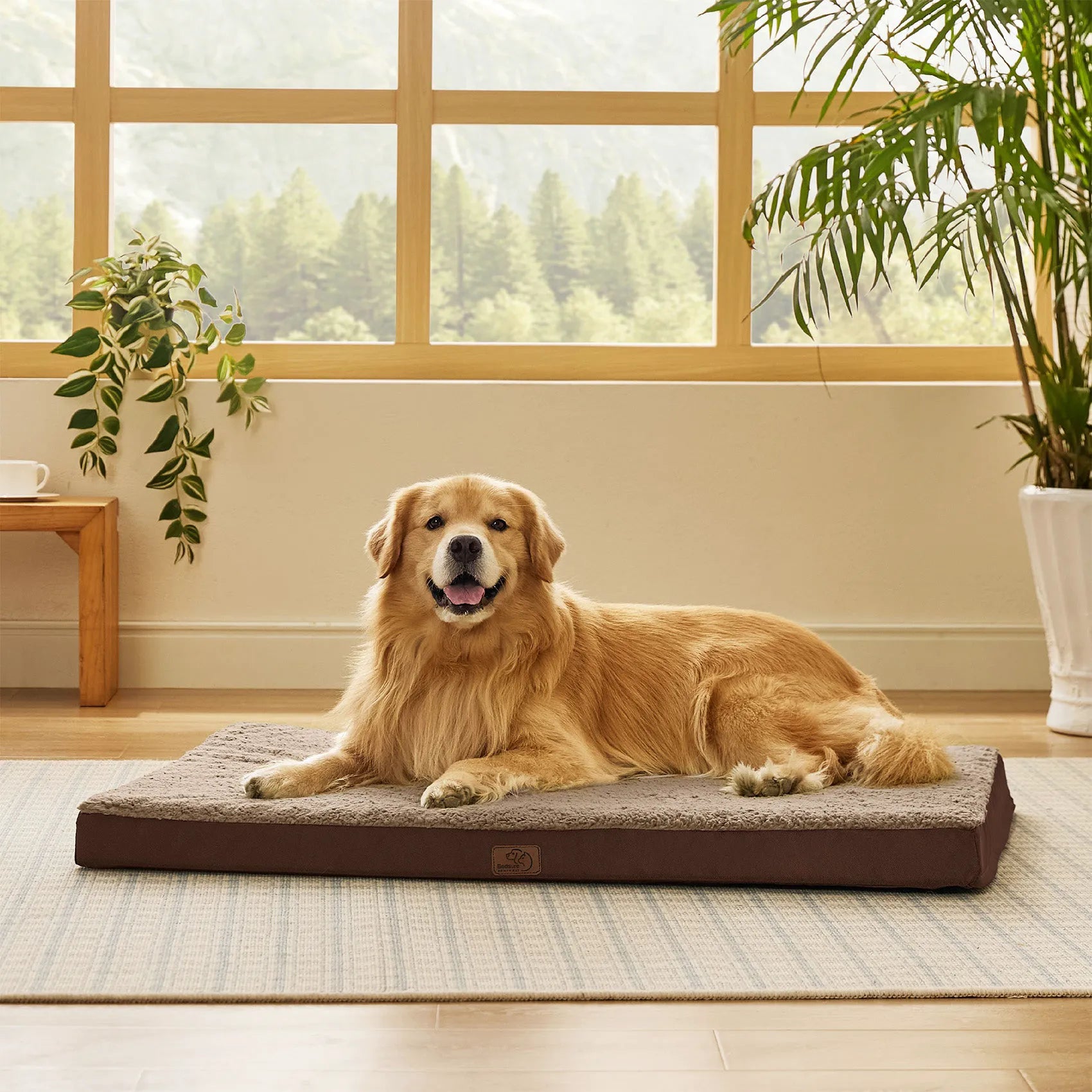 Large Washable Orthopedic Dog Bed