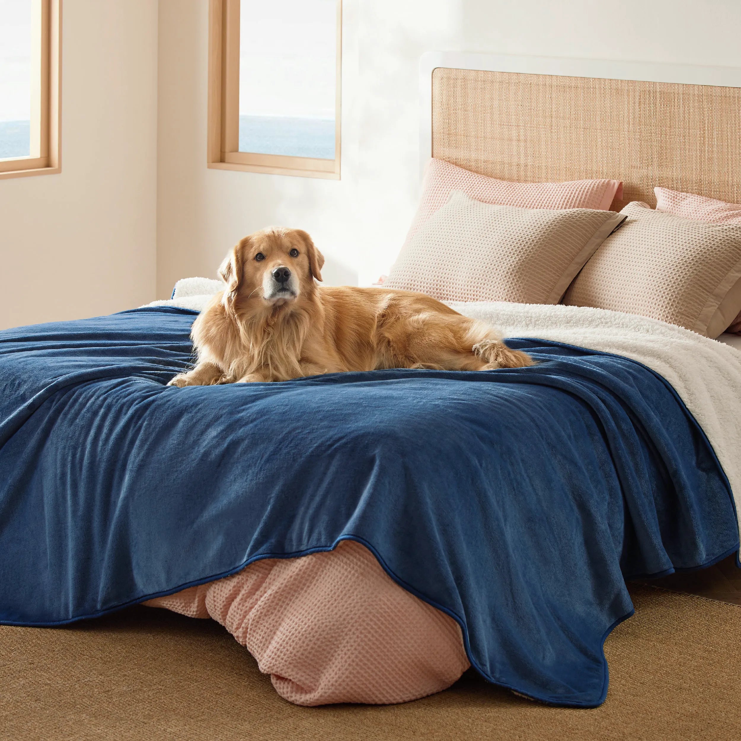 Reversible Sherpa & Microfiber Fleece Dog Blanket