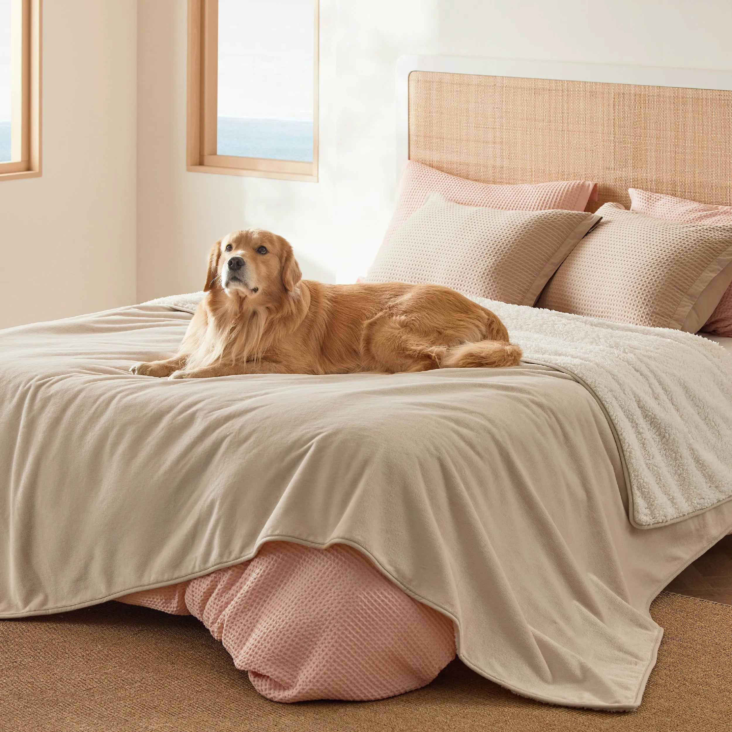 Reversible Sherpa & Microfiber Fleece Dog Blanket