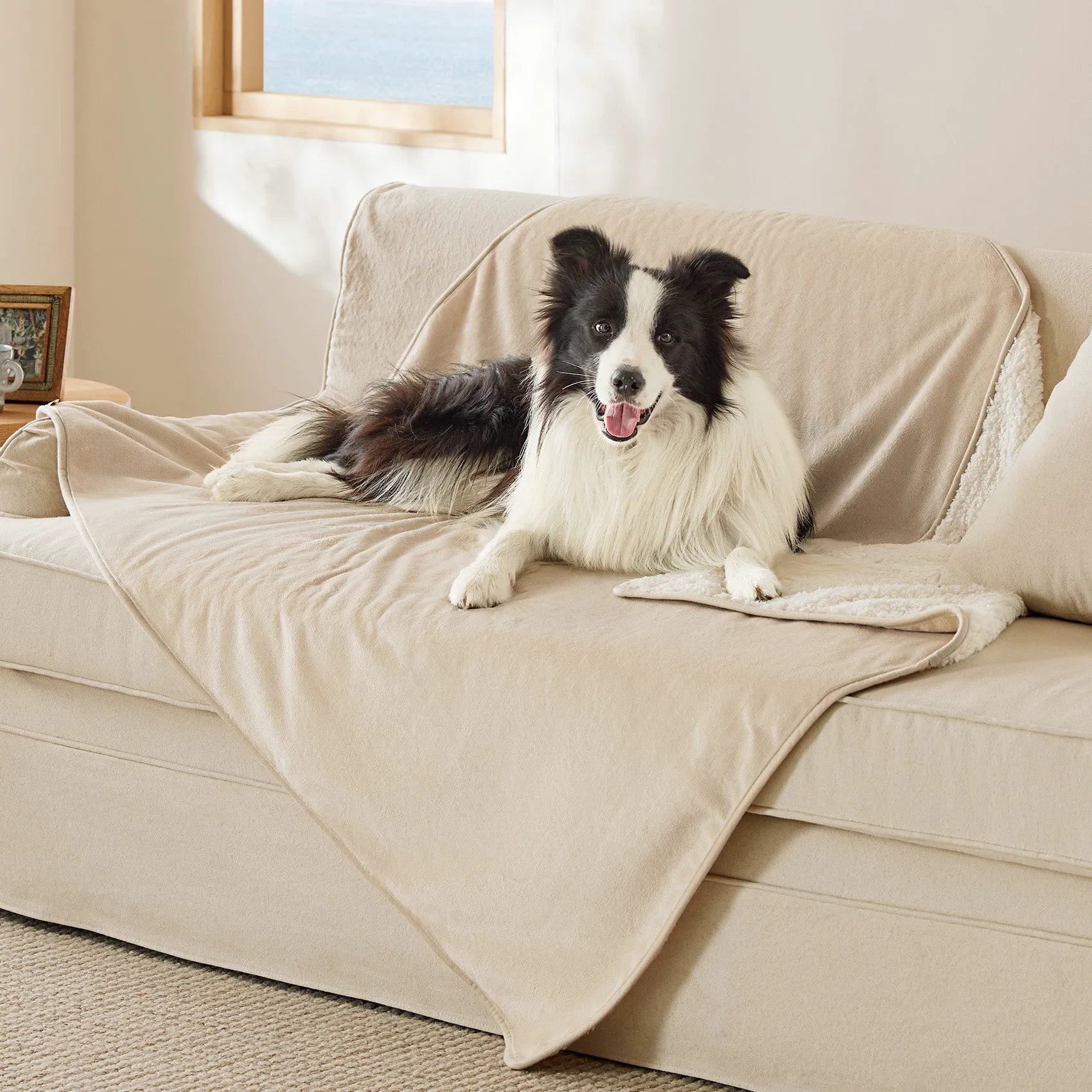 Reversible Sherpa & Microfiber Fleece Dog Blanket