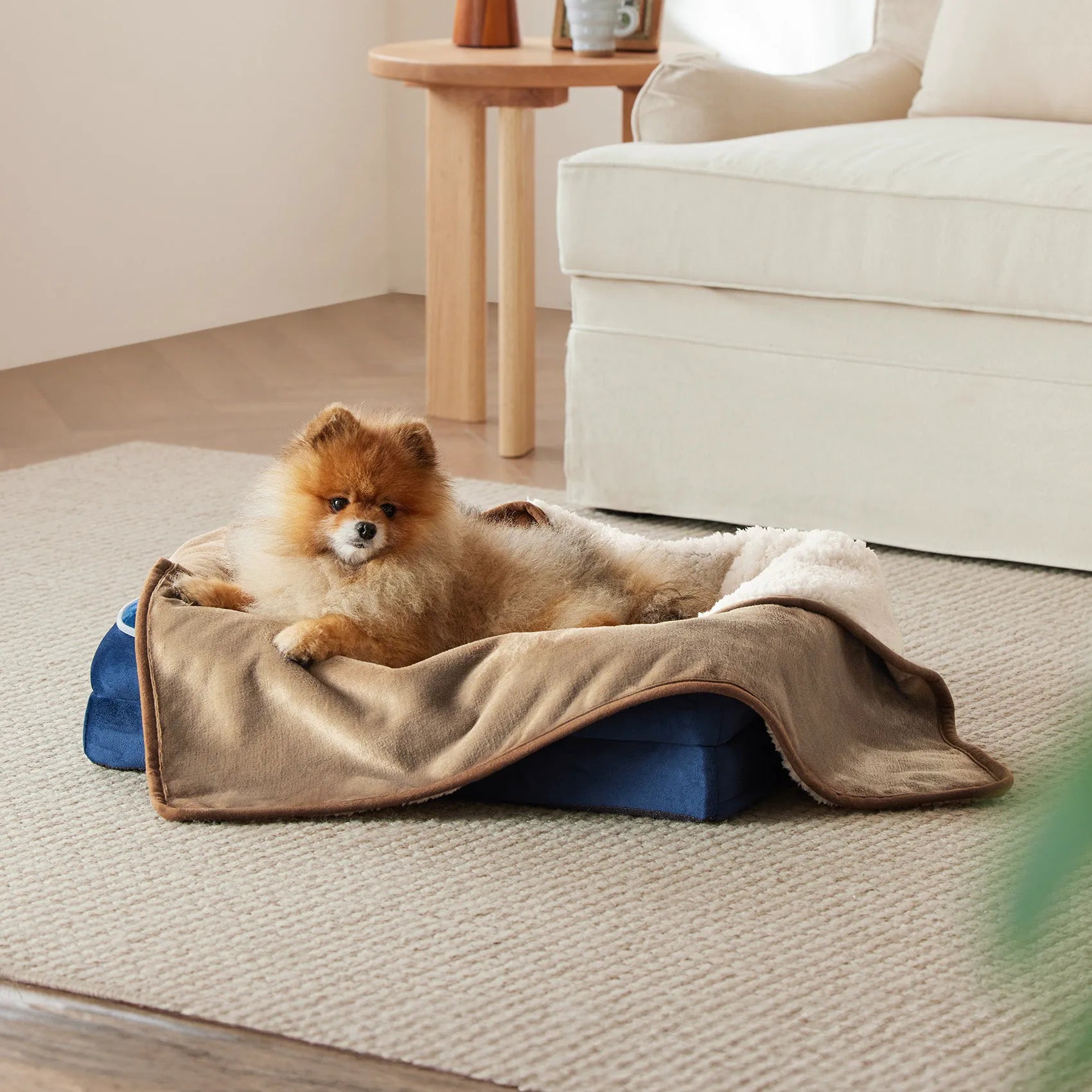 Reversible Sherpa & Microfiber Fleece Dog Blanket