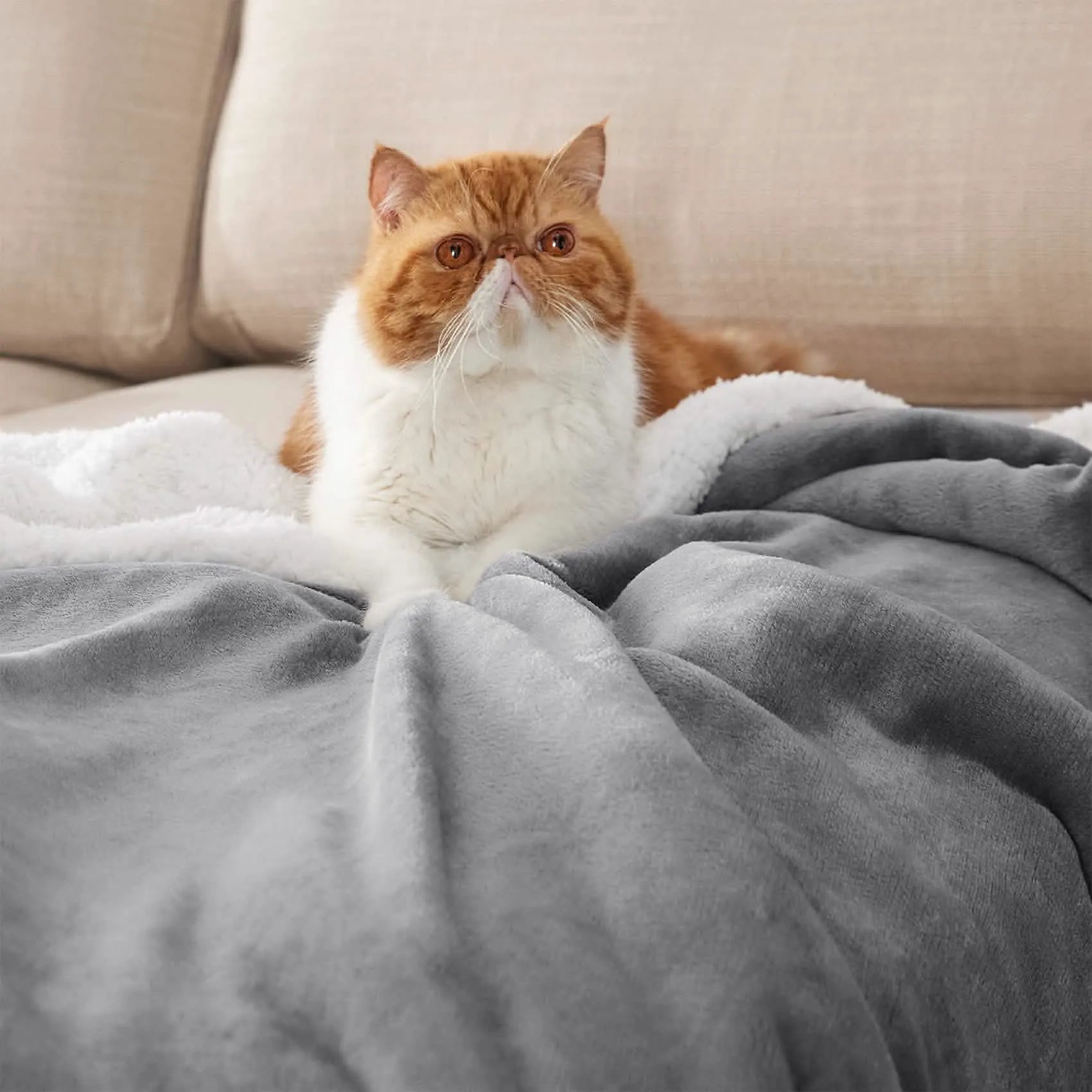 Cozy Sherpa Fleece Throw Blanket