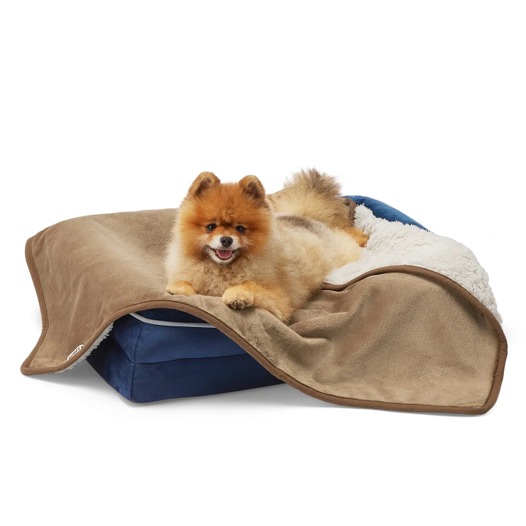 Reversible Sherpa & Microfiber Fleece Dog Blanket