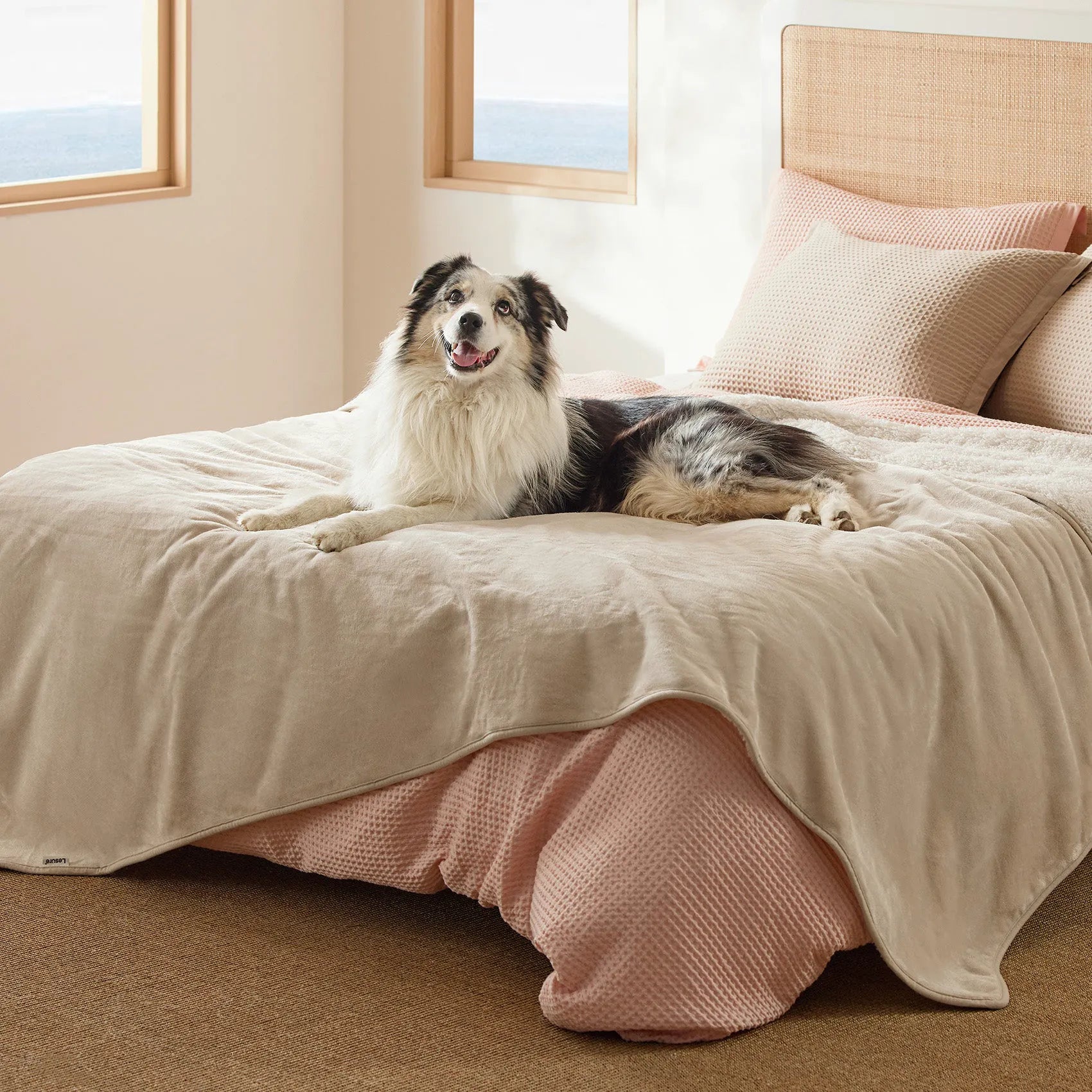 Reversible Sherpa & Microfiber Fleece Dog Blanket