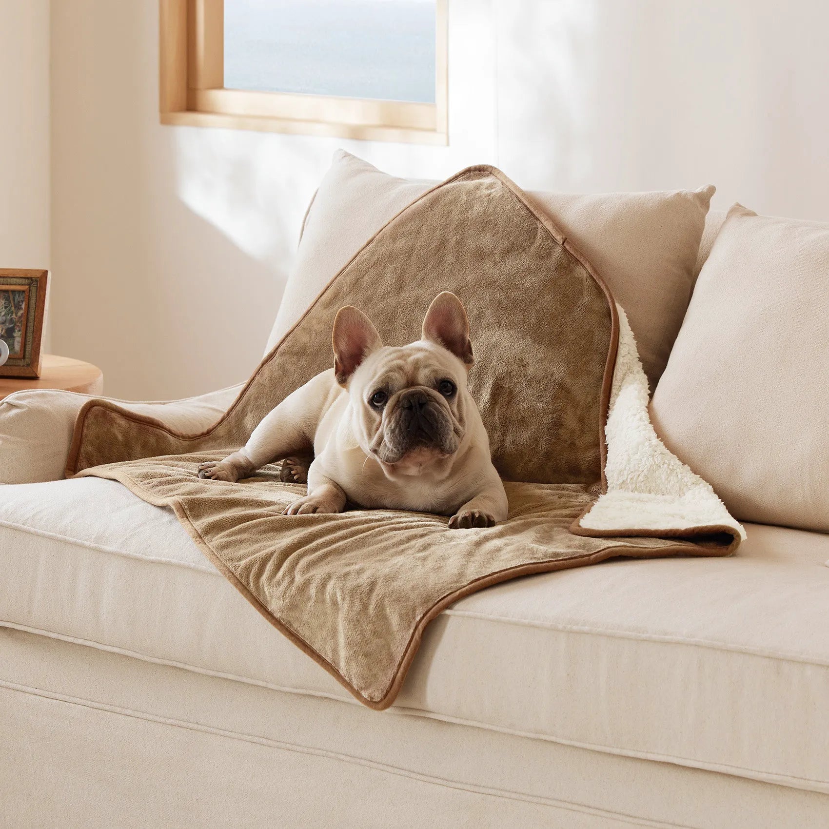 Reversible Sherpa & Microfiber Fleece Dog Blanket