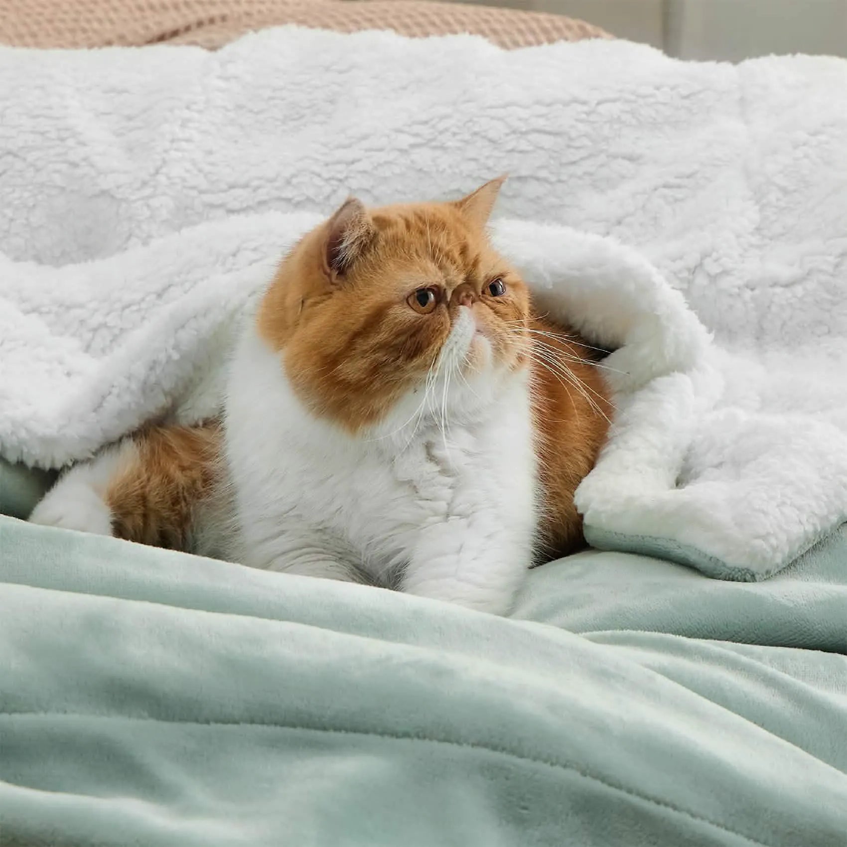 Cozy Sherpa Fleece Throw Blanket