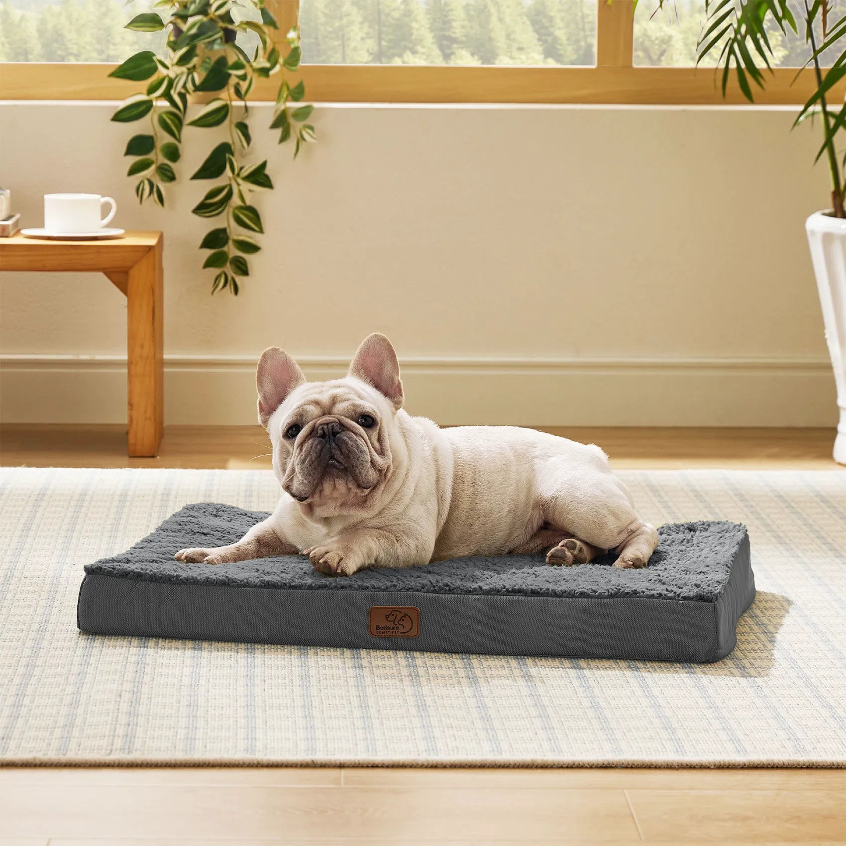 Large Washable Orthopedic Dog Bed