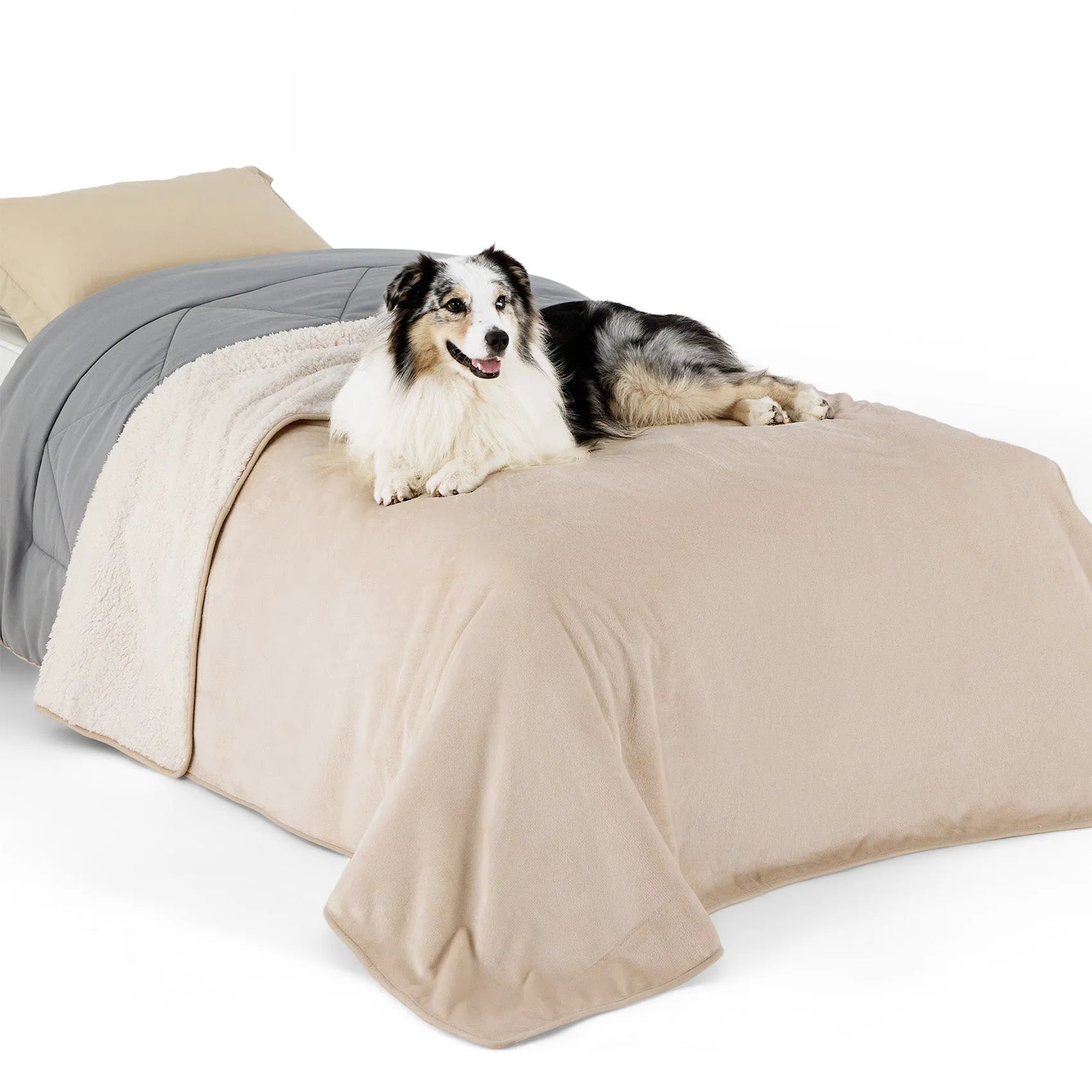 Reversible Sherpa & Microfiber Fleece Dog Blanket