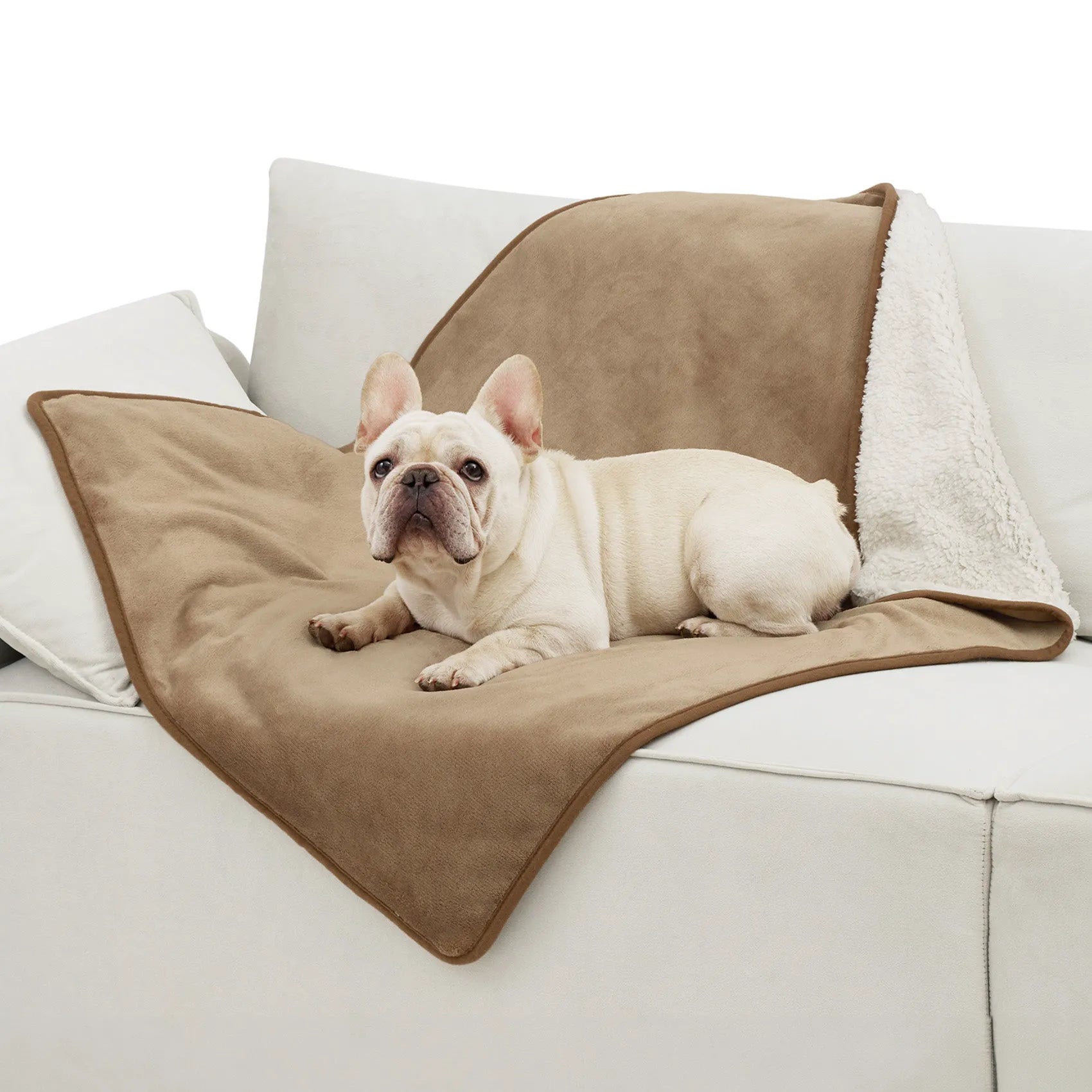 Reversible Sherpa & Microfiber Fleece Dog Blanket