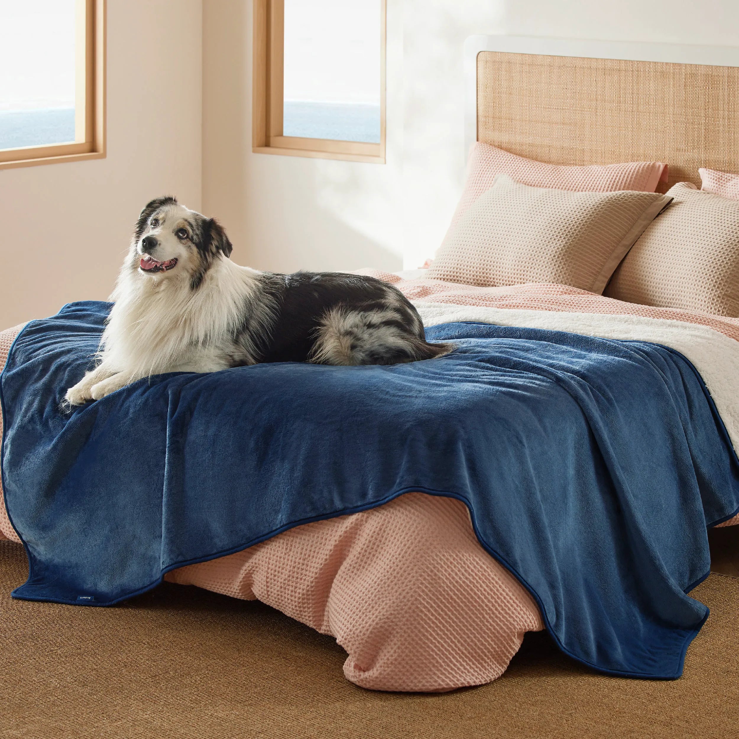 Reversible Sherpa & Microfiber Fleece Dog Blanket