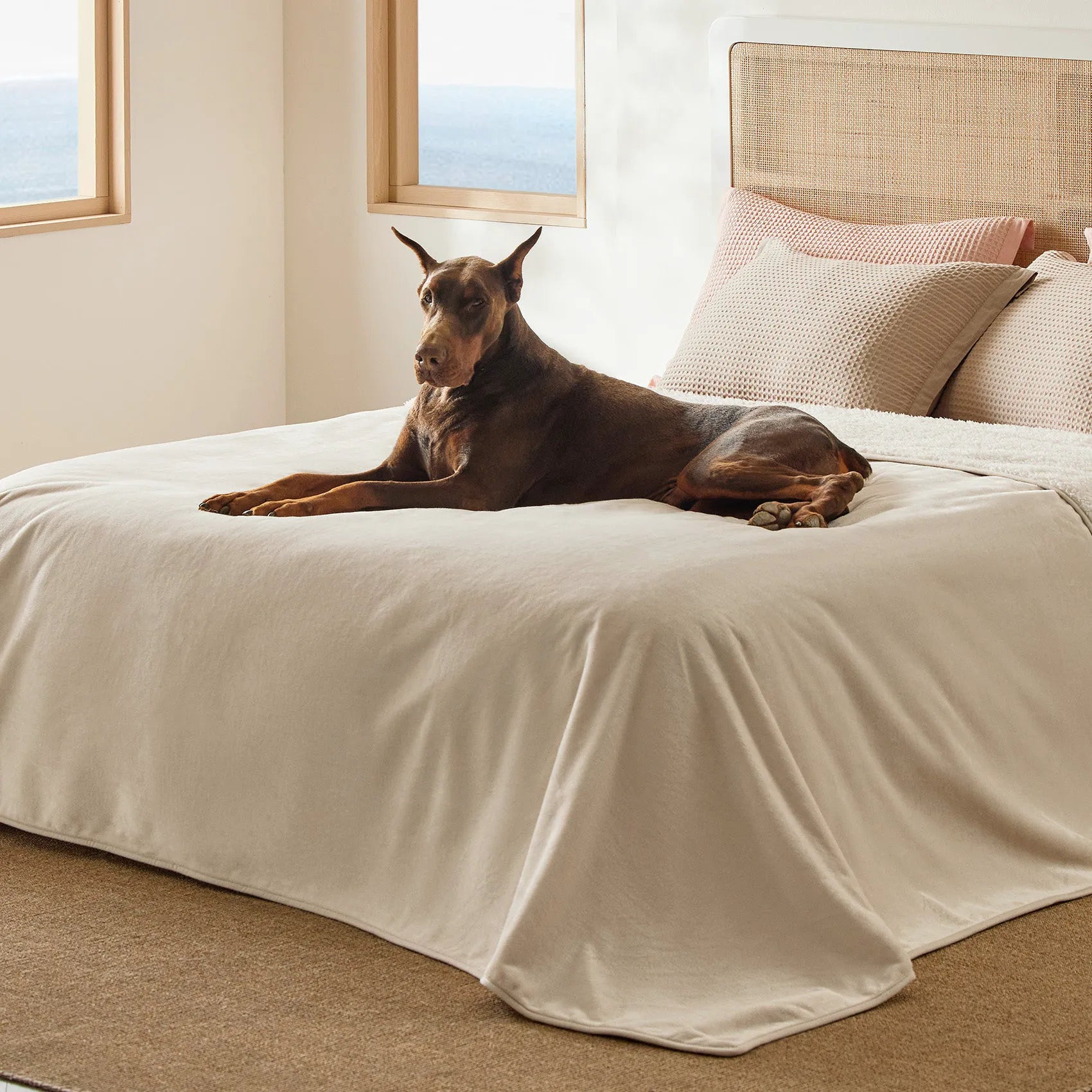 Reversible Sherpa & Microfiber Fleece Dog Blanket