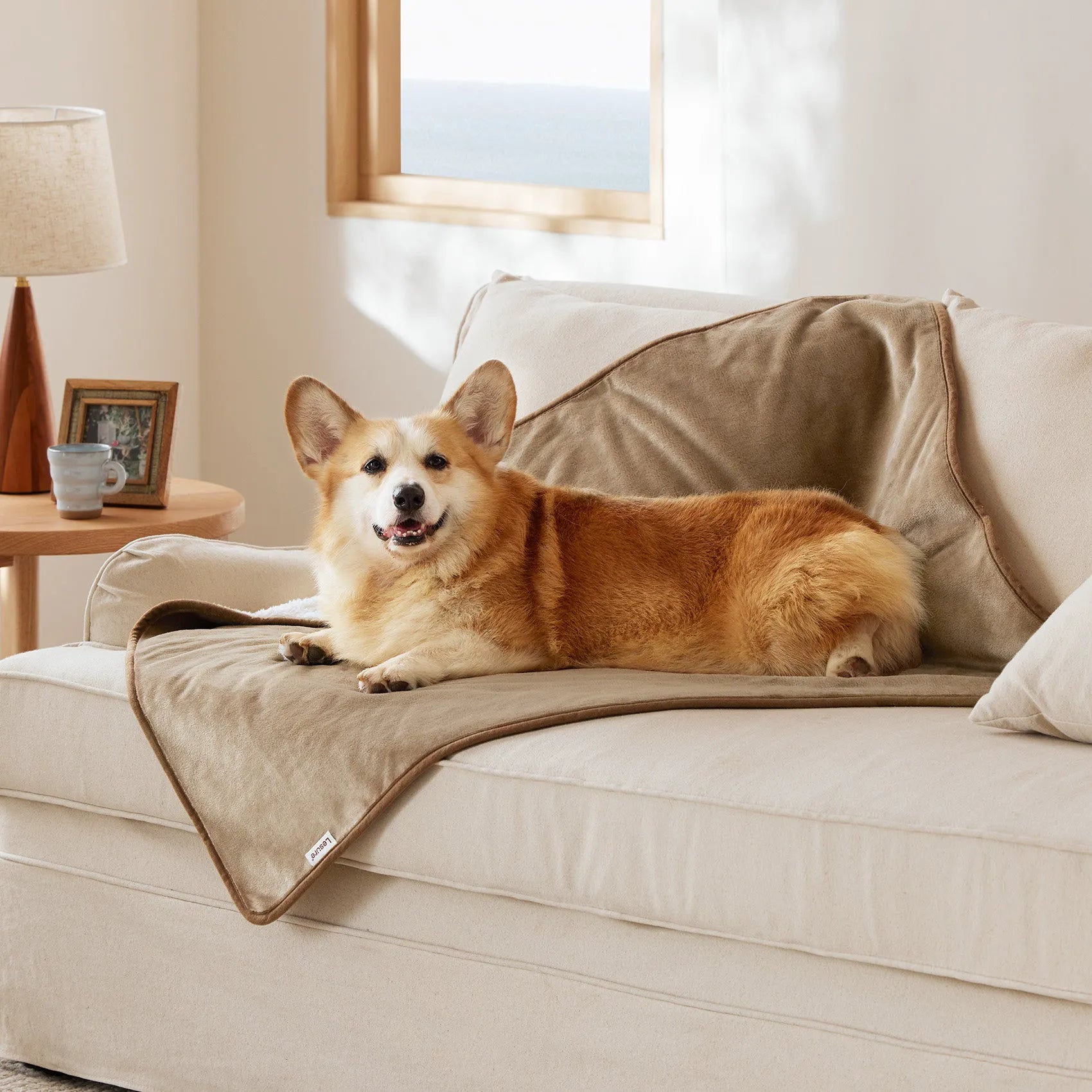 Reversible Sherpa & Microfiber Fleece Dog Blanket