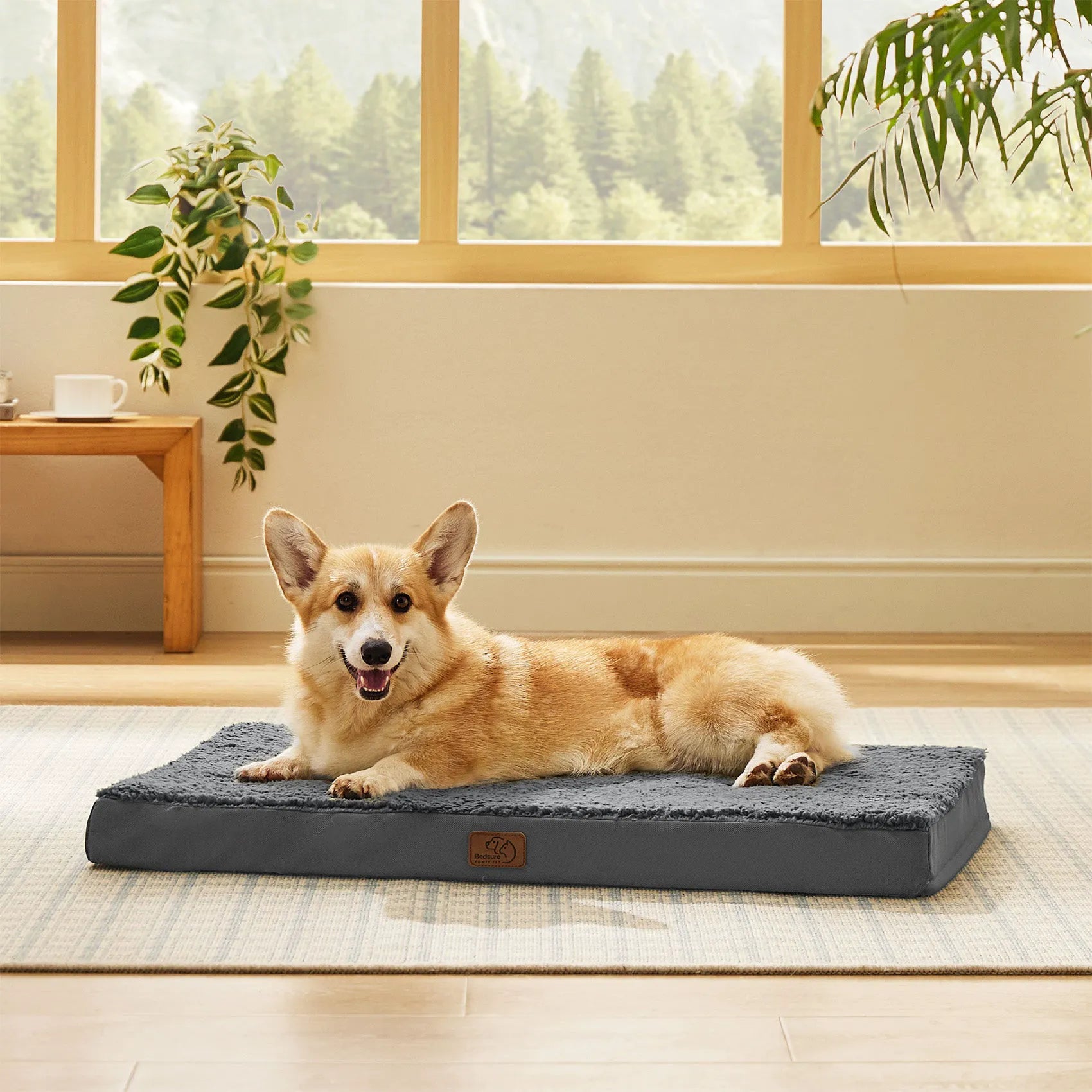 Large Washable Orthopedic Dog Bed